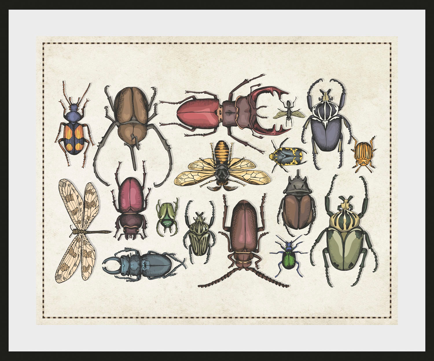 queence Bild »Das Große Krabbeln«, Schmetterlinge-Kunst-Insekten, (1 St.), günstig online kaufen