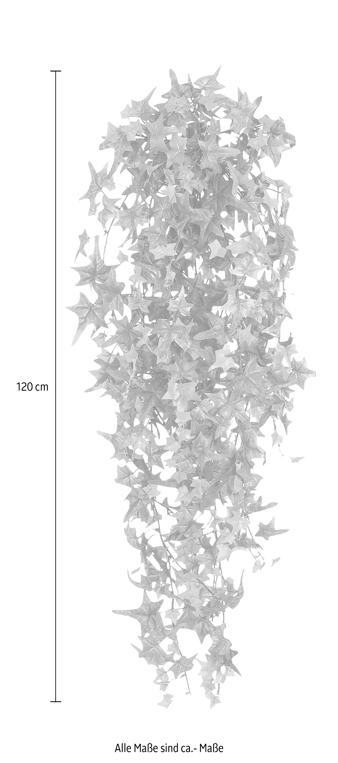 Creativ green Kunstranke »Englische Efeuranke«, hängender Efeu, ohne Topf  auf Rechnung bestellen | Kunstranken