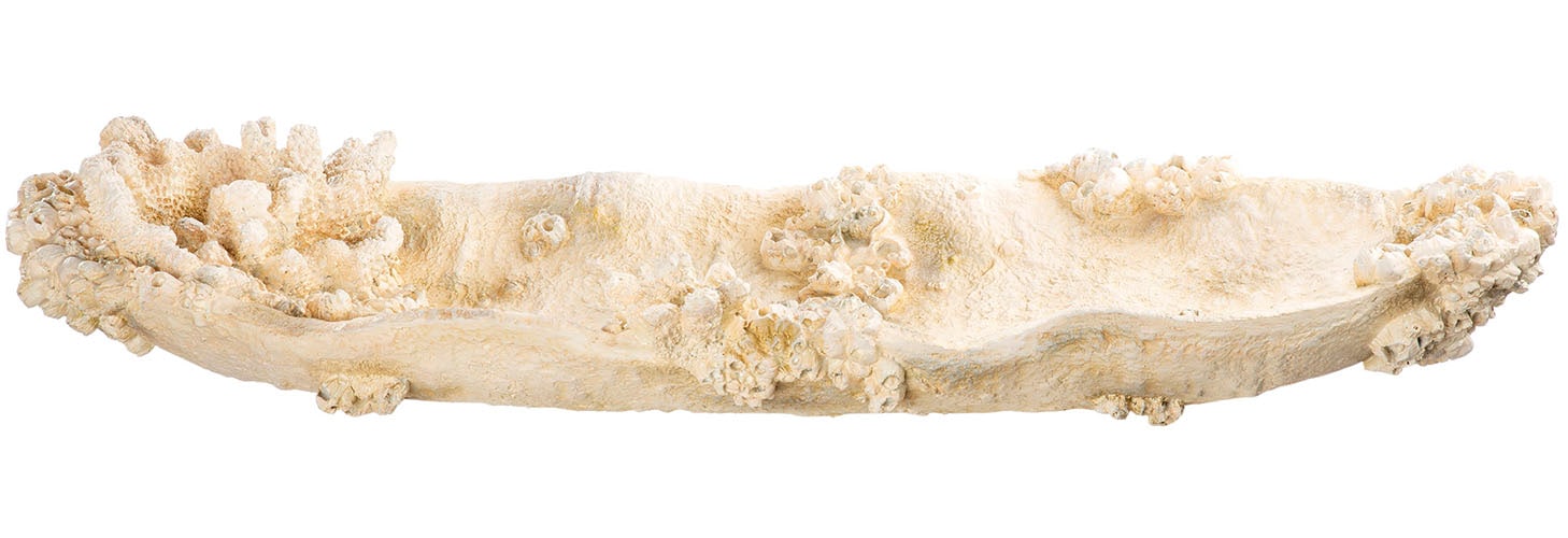 GILDE Dekoschale »Schale Amphora Seychelles weiß H. 10,5 cm«