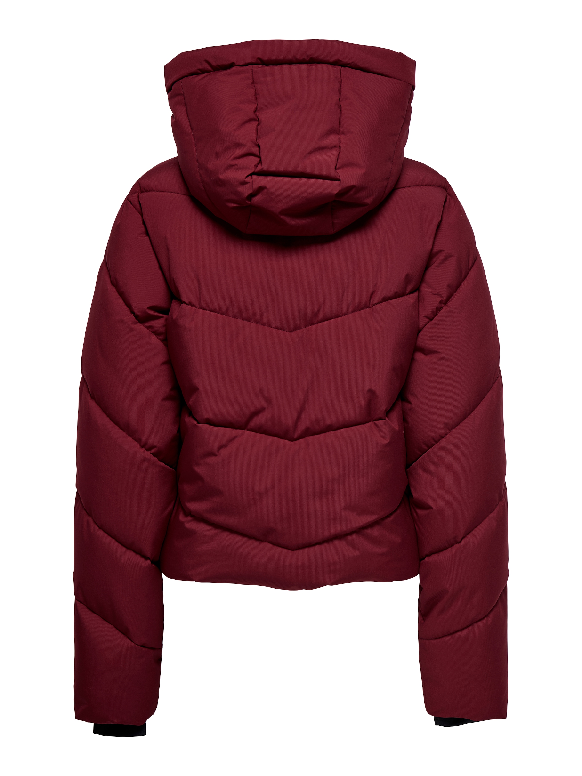 ONLY Steppjacke »ONLHARPER LIFE SHORT PREMIUM JACKET OTW« mit Kapuze