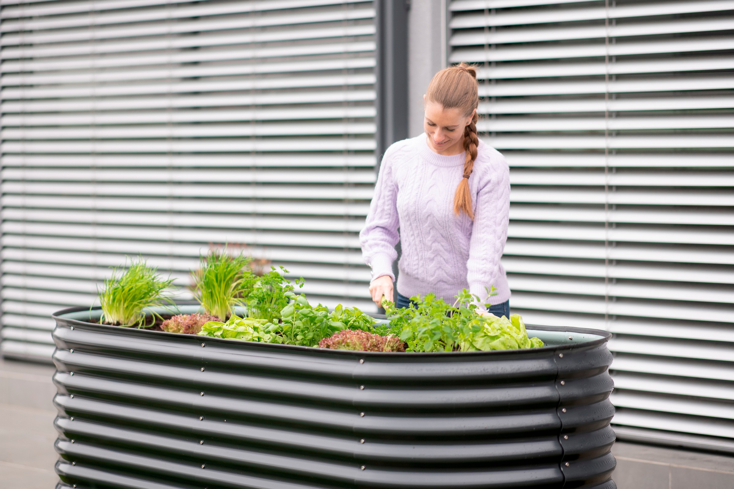 WESTMANN Hochbeet »Oval 240« BxTxH: 240x80x82 cm