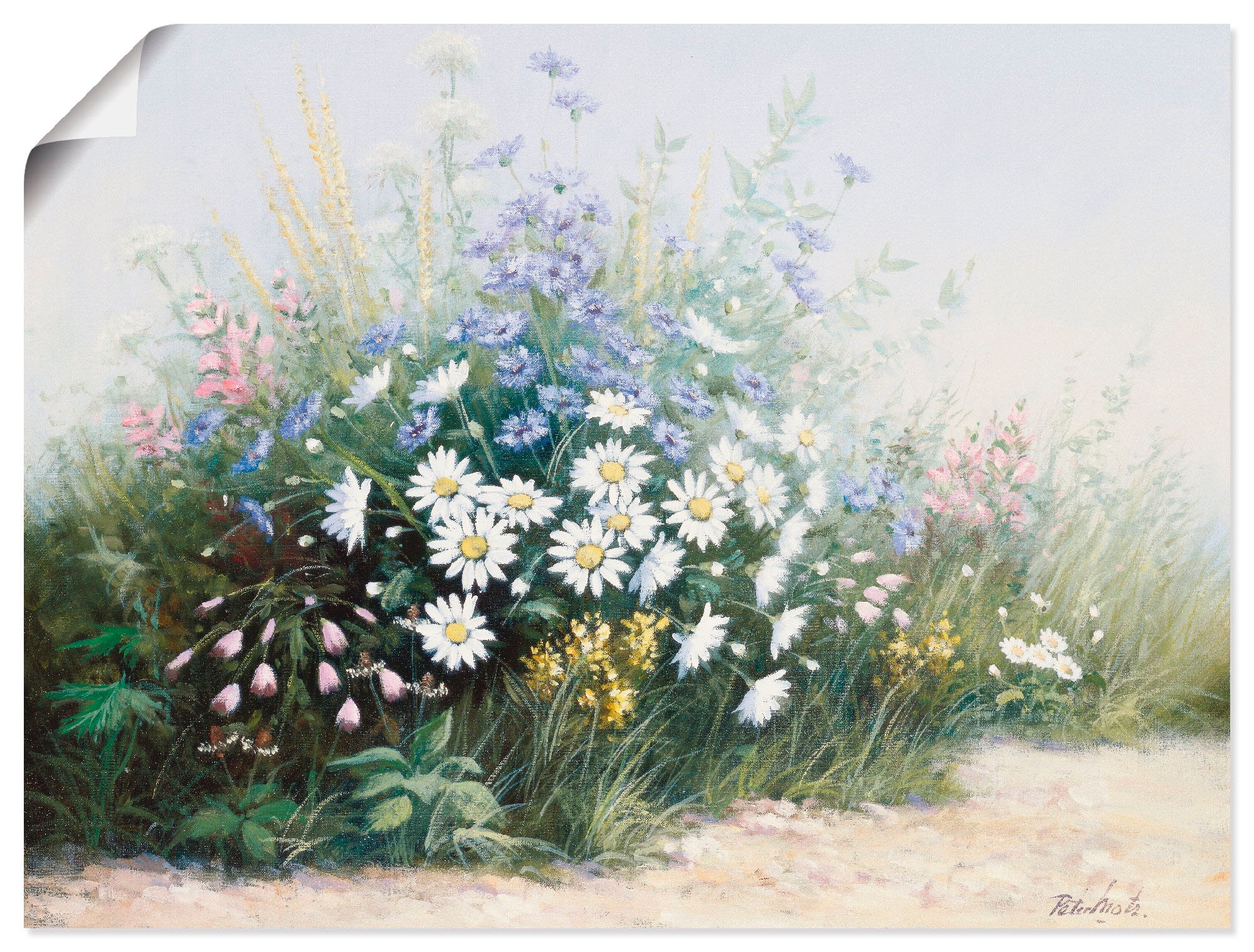 Artland Leinwandbild, oder (1 Wandbild Poster Größen Serenade«, versch. »Blumen als Blumen, kaufen Raten Wandaufkleber in auf St.),