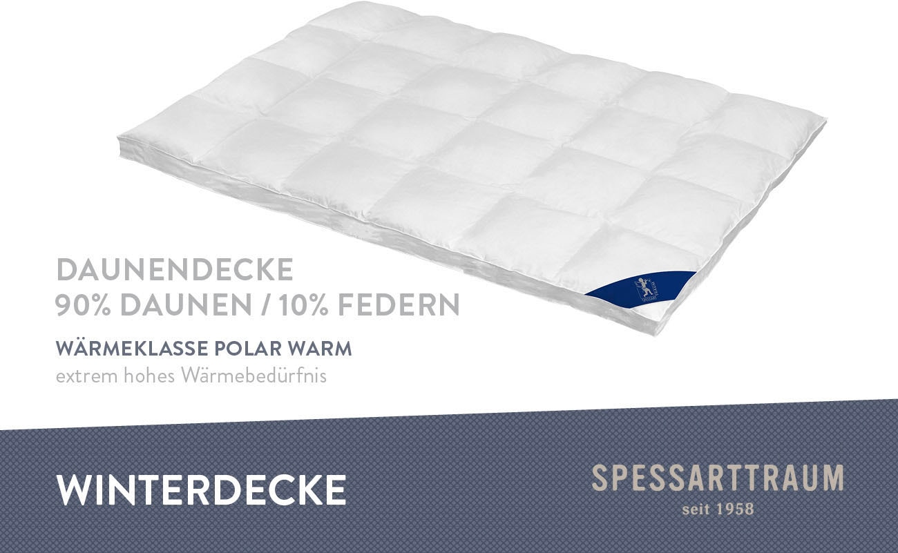 SPESSARTTRAUM Daunenbettdecke »First Class«, polarwarm, Füllung 90% Daunen günstig online kaufen