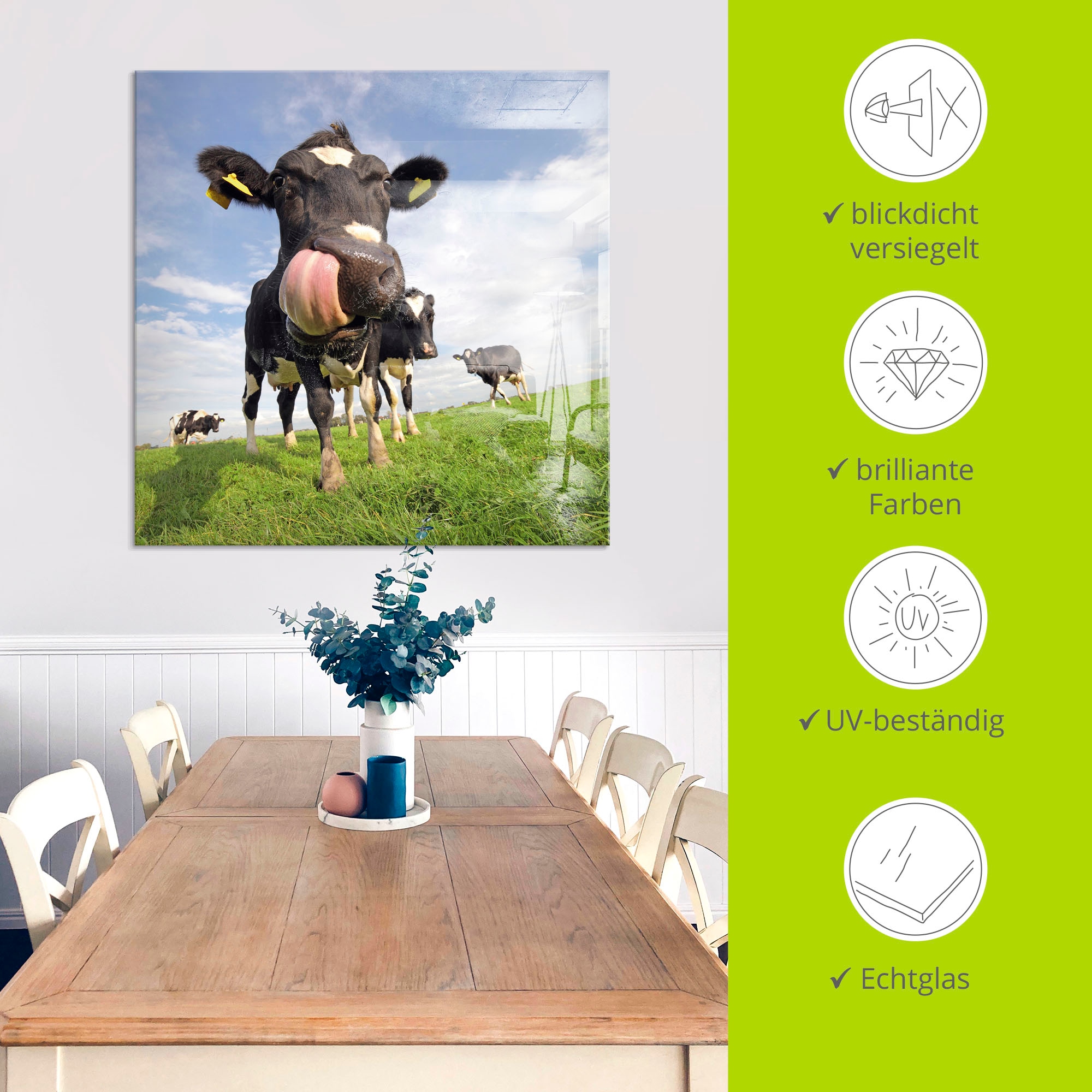 Artland Glasbild »Holstein-Kuh mit gewaltiger Zunge«, Haustiere, (1 St.), in verschiedenen Größen