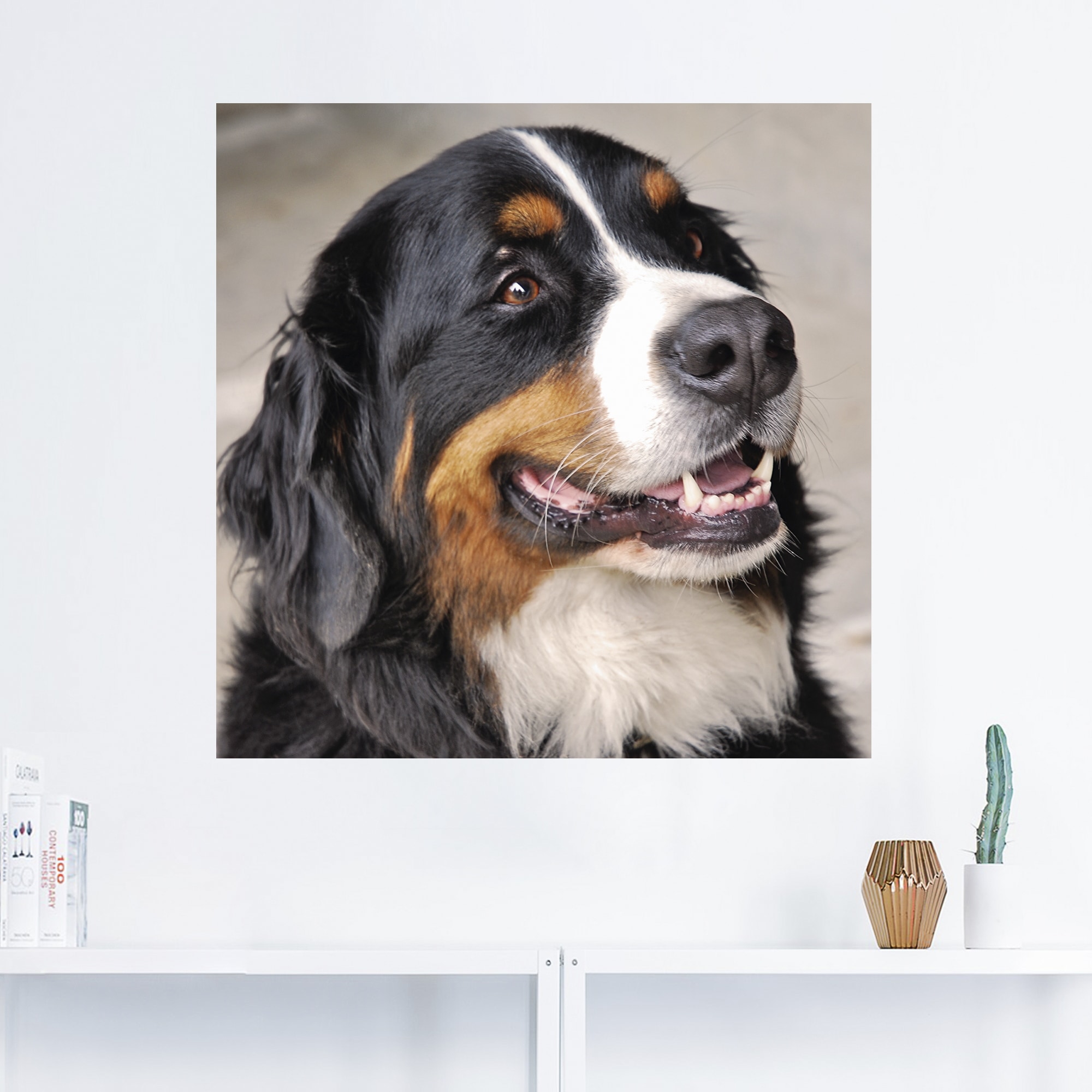 Artland Wandbild »Berner Sennenhund«, Haustiere, (1 St.), als Poster, Wandaufkleber in verschied. Größen