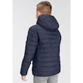 Quiksilver Steppjacke »SCALY YOUTH«