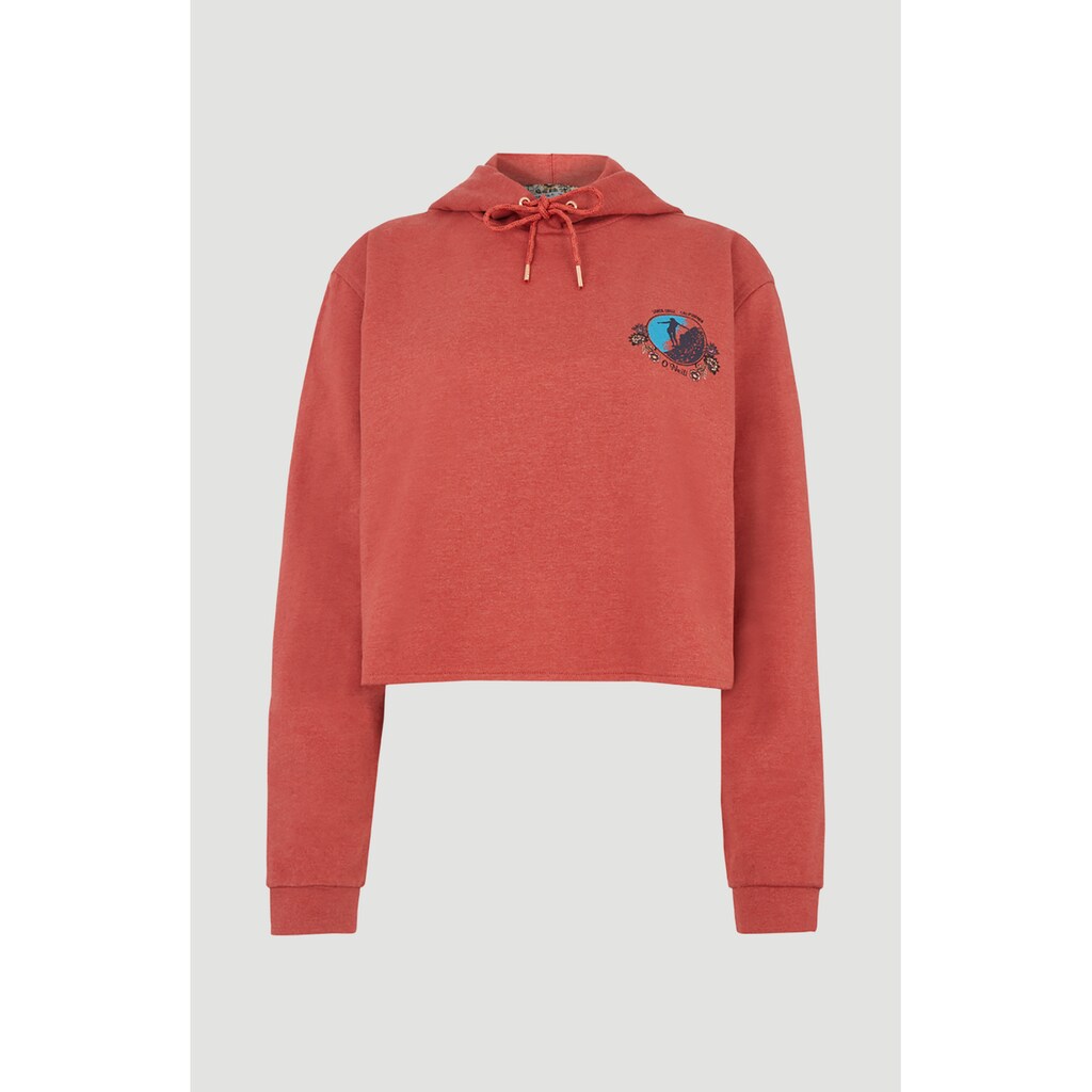 O'Neill Kapuzensweatshirt »Moraga«