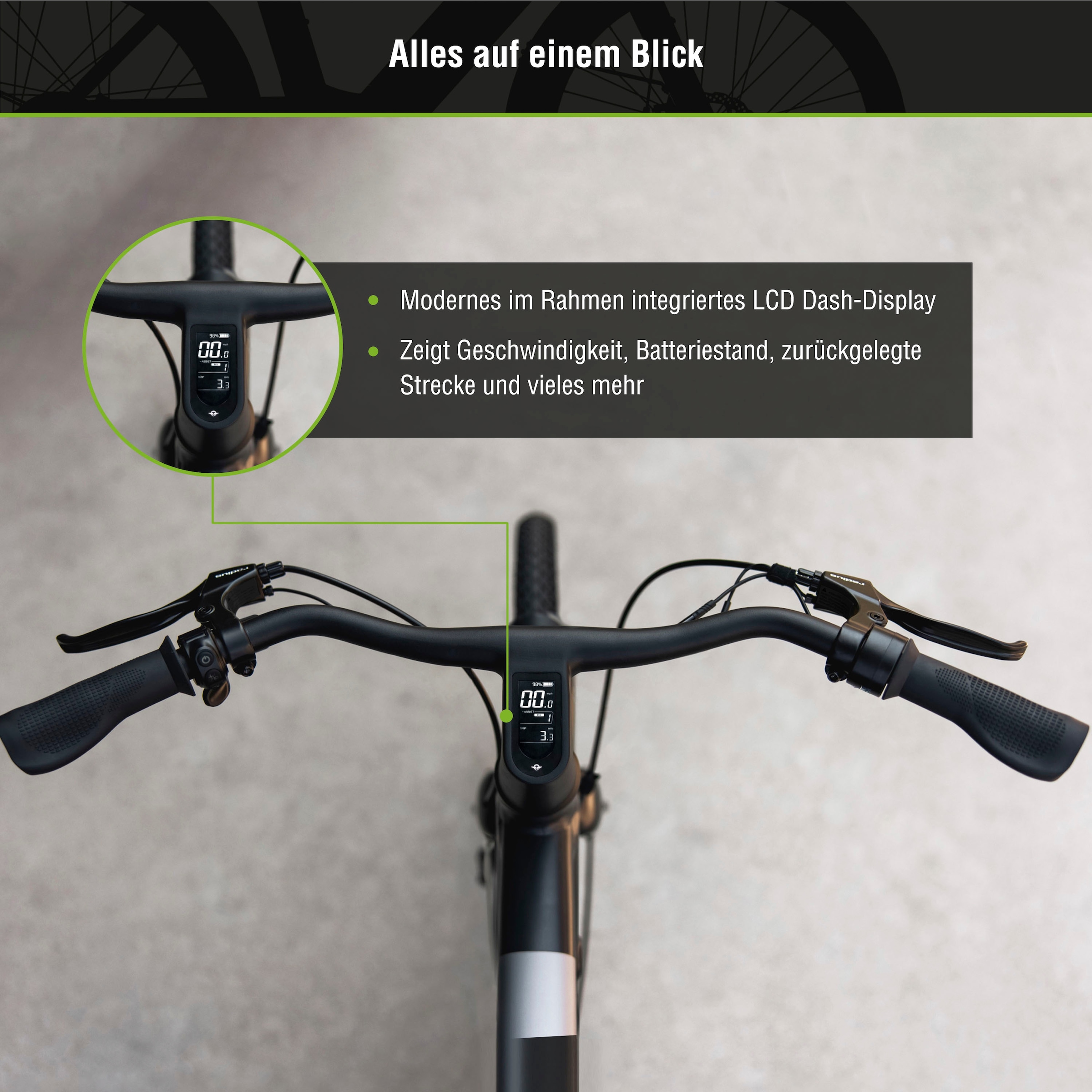 SachsenRad »C6R« 1 Gang ohne Schaltung Heckmotor 250 W Pedelec, Elektrofahrrad für Damen und Herren