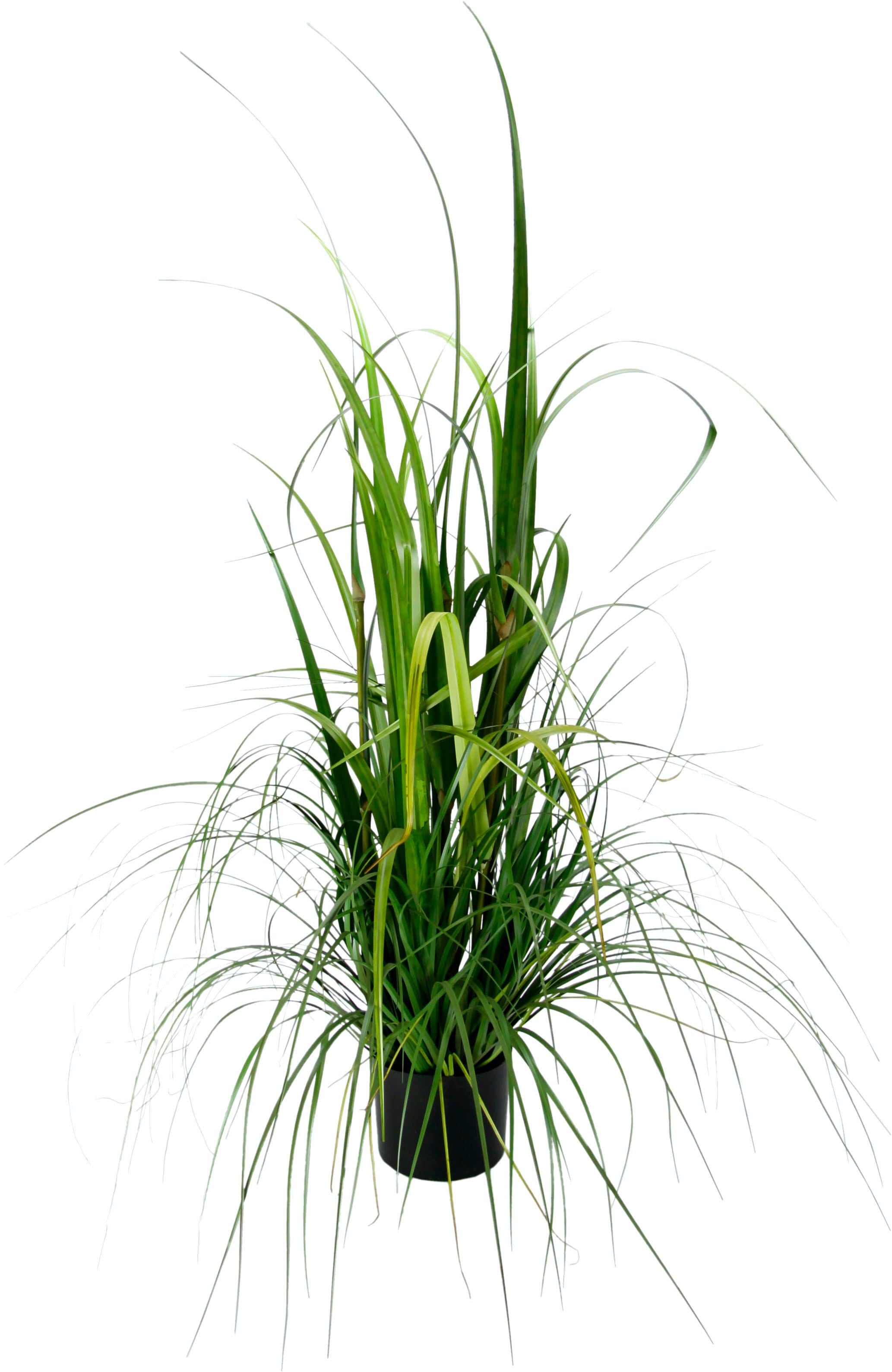 I.GE.A. Kunstpflanze »Gras im Topf« günstig online kaufen