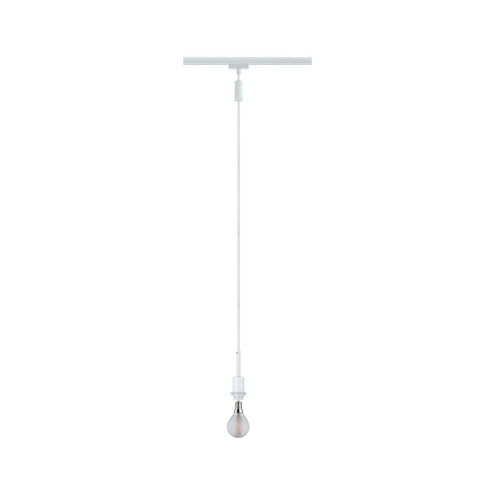 Paulmann Schienensystem-Leuchten »URail Pendel DecoSystems Basic E14 max. 2 günstig online kaufen