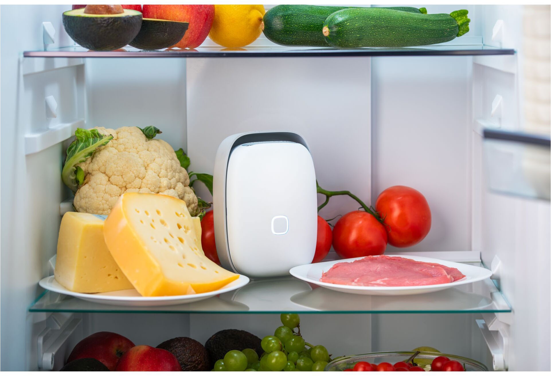 Vitesy Luftreiniger »Shelfy – Smarte Frischeverlängerung für deinen Kühlschrank«, reduzierte Bakterien, verlängert Haltbarkeit, gegen Schimmel