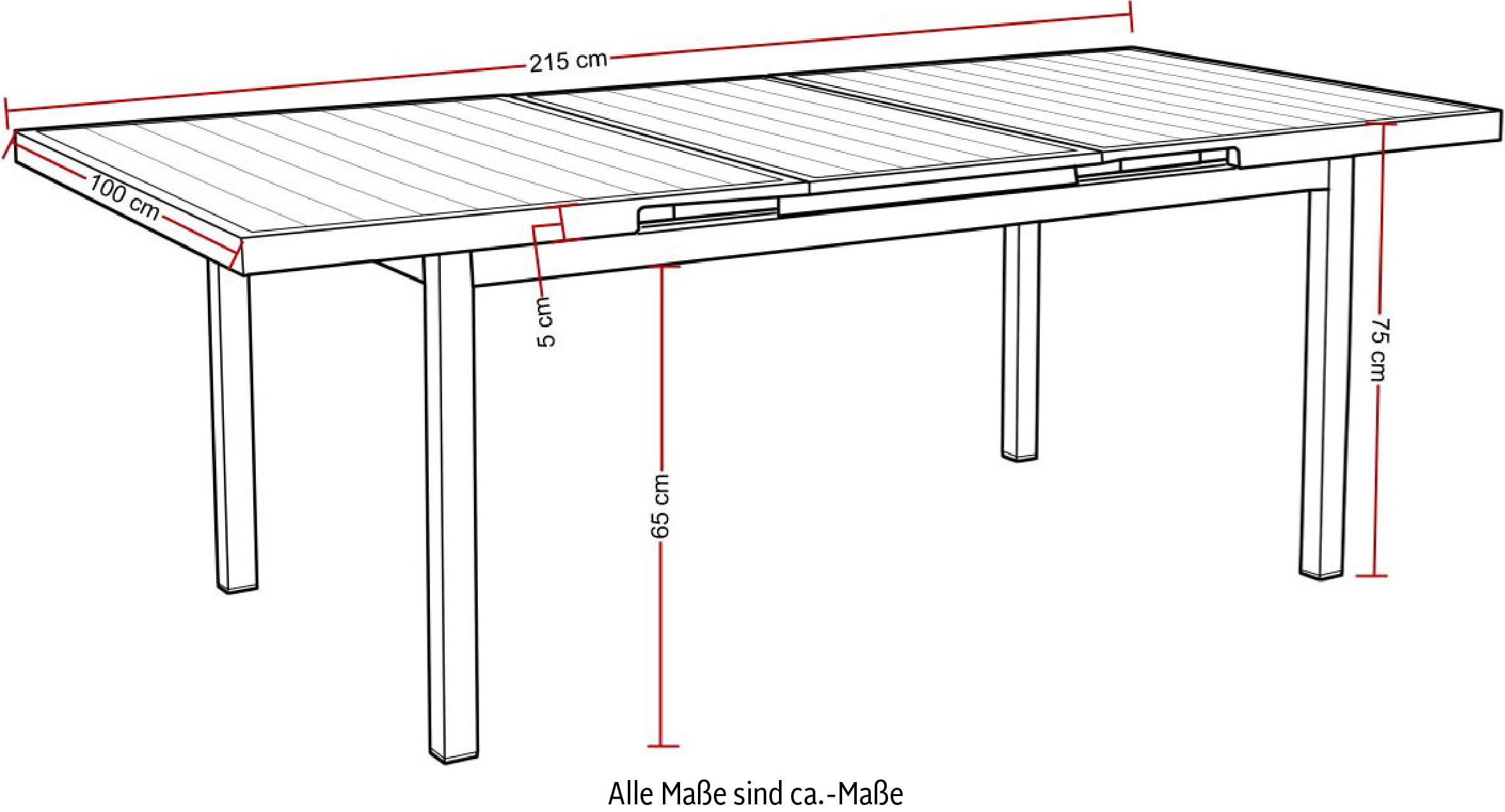 Destiny Garten-Essgruppe »LUCCA IMOLA«, (13 tlg., 4x Sessel, 1x Tisch, inkl. Auflagen), Aluminium, Polyrattan, Rope