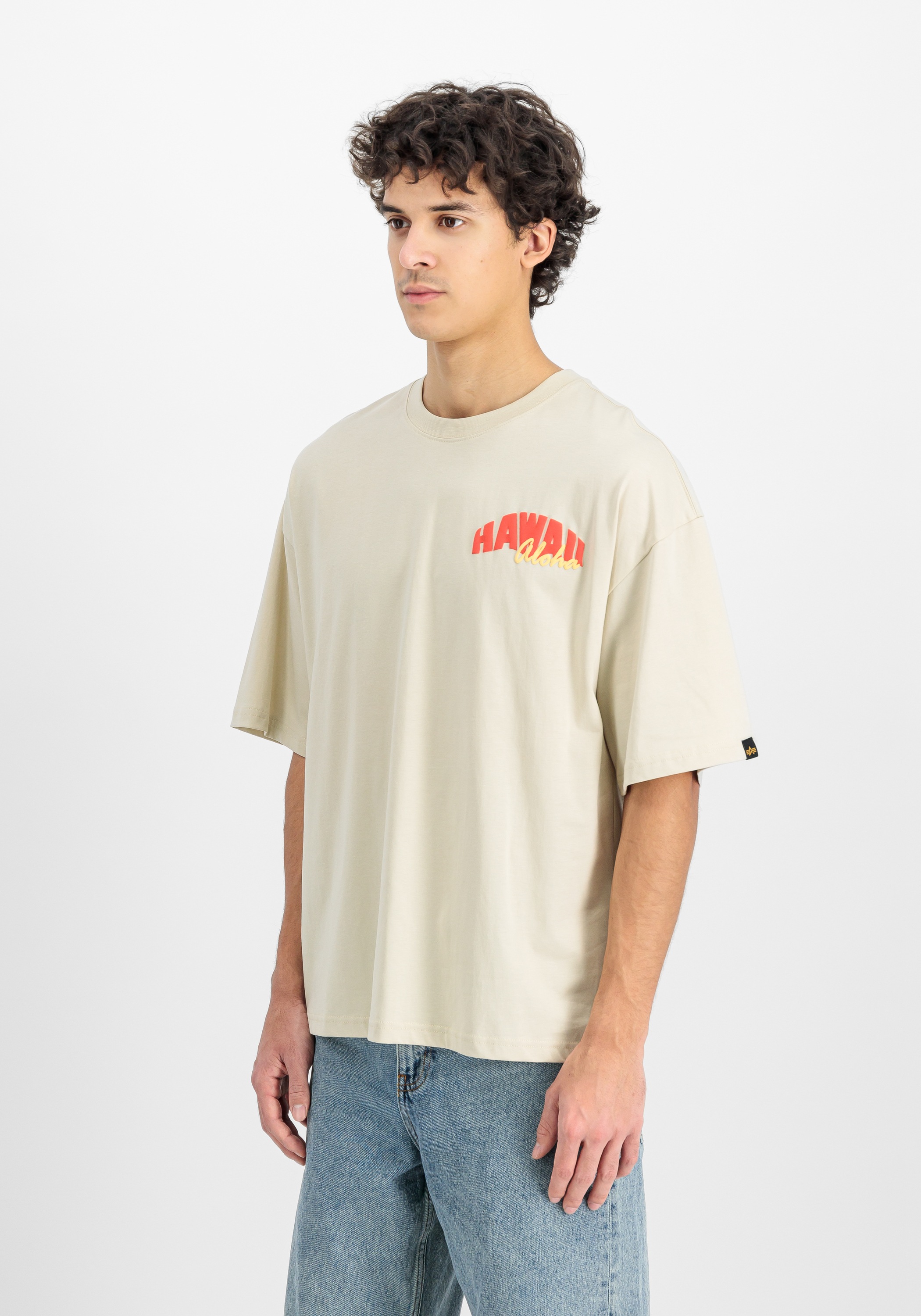 Alpha Industries T-Shirt »Alpha Industries Men - T-Shirts Hawaii Aloha Backprint T-Shirt«