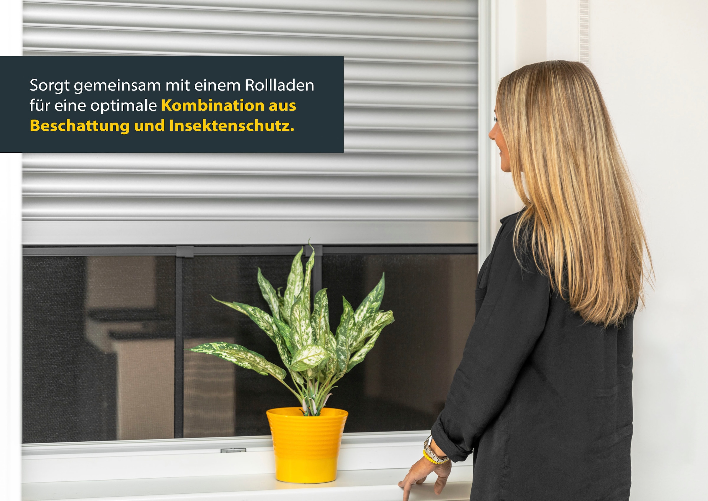 SCHELLENBERG Insektenschutz-Fensterrahmen »ausziehbares Fliegengitter Schiebefenster mit Rahmen«, 50 x 75 - 142 cm oder 75 x 100 -193 cm, weiß und anthrazit