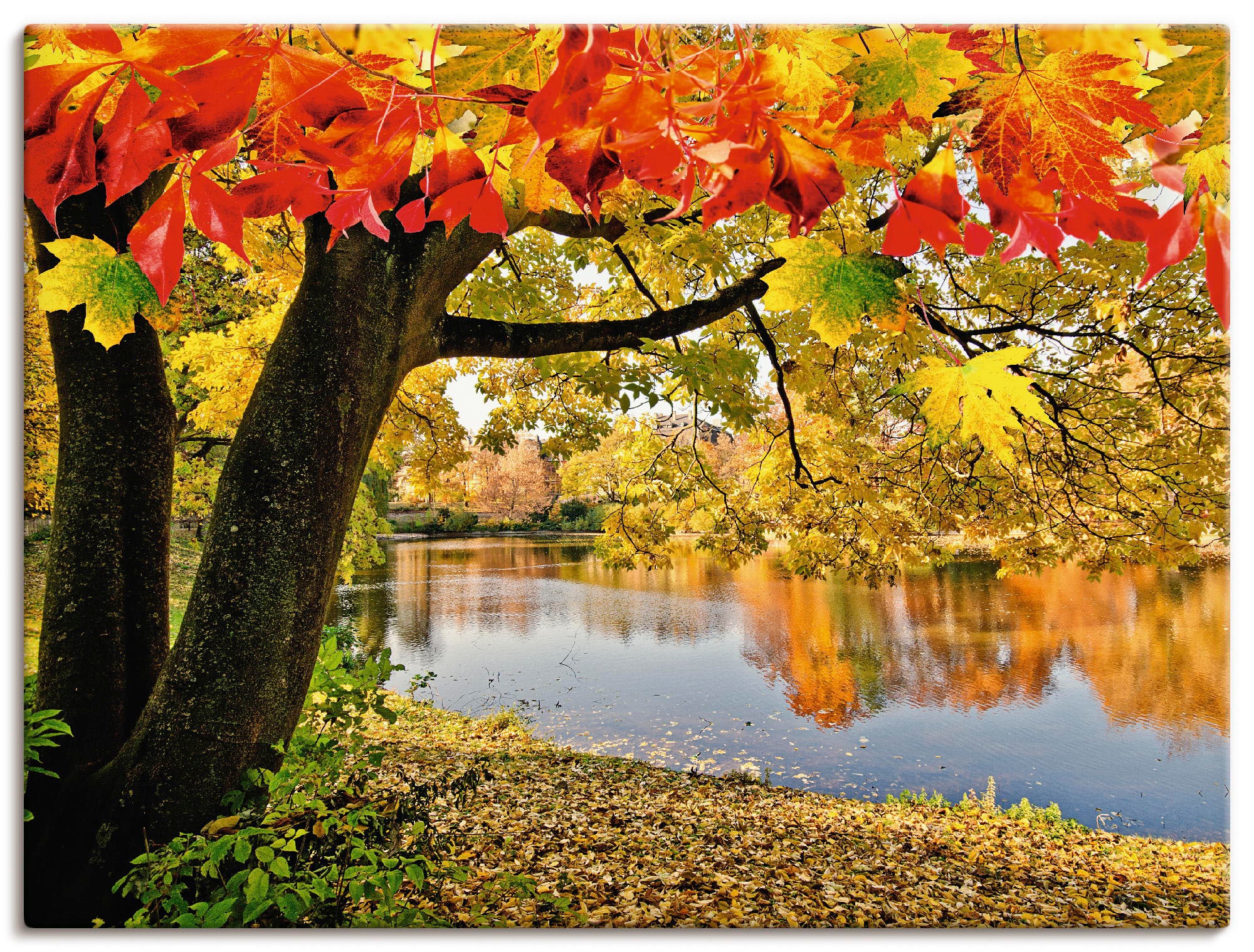 Artland Wandbild »Herbsttag an einem ruhigen See«, Gewässer, (1 St.), als A günstig online kaufen