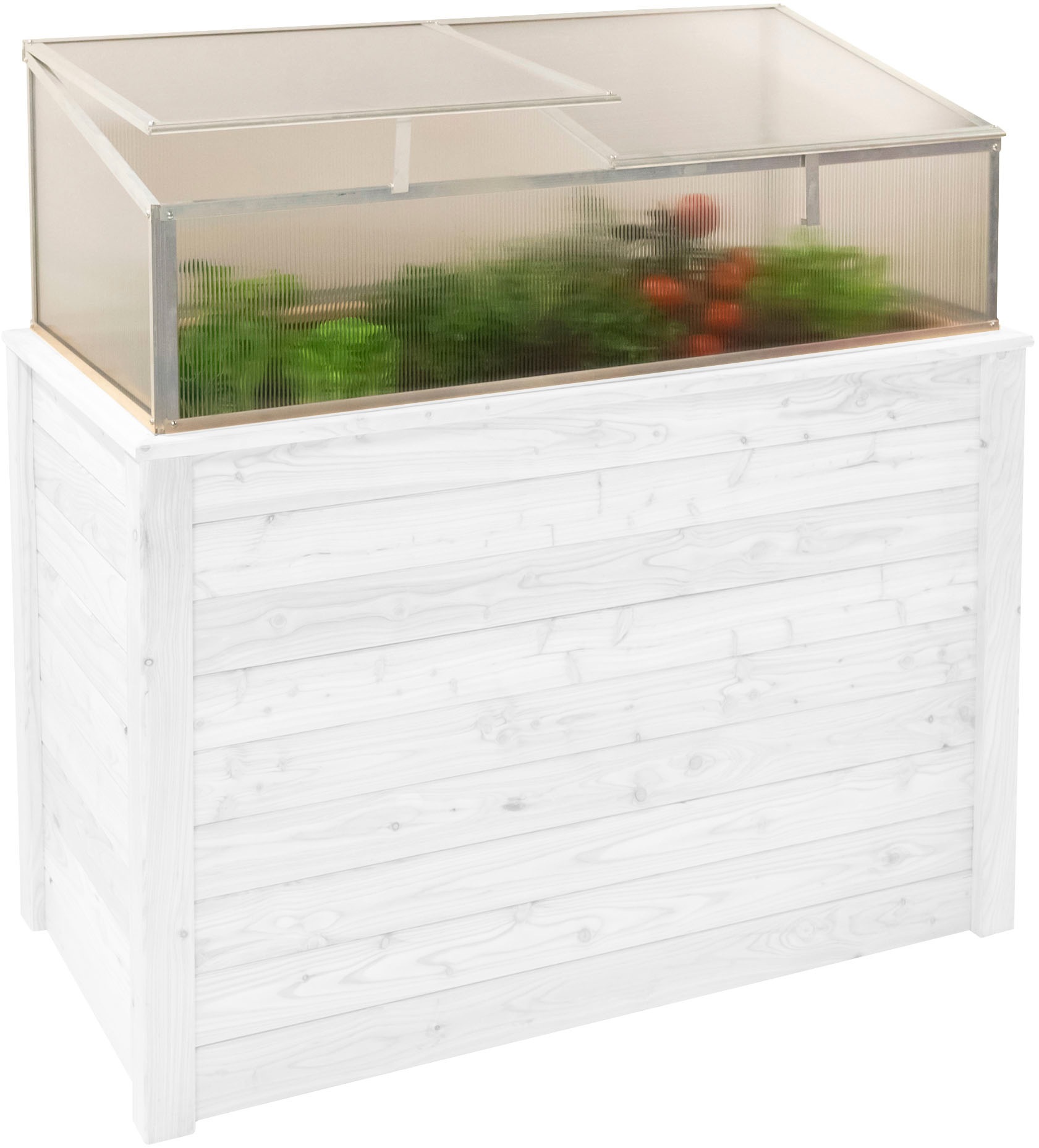 WESTMANN Frühbeetaufsatz »Genus 100«