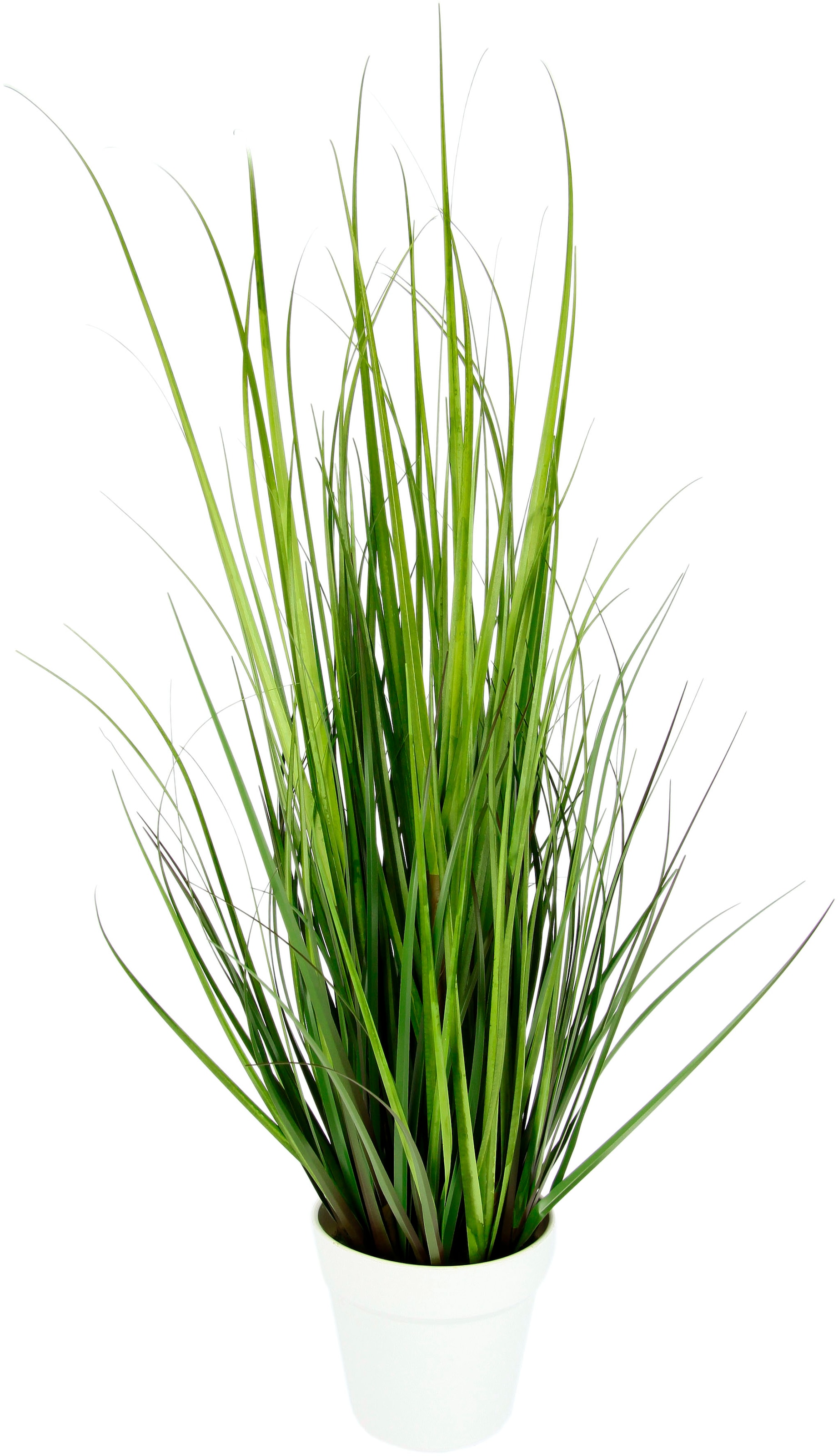 I.GE.A. Kunstpflanze Dekogras auf kaufen »Grasbusch«, Rechnung