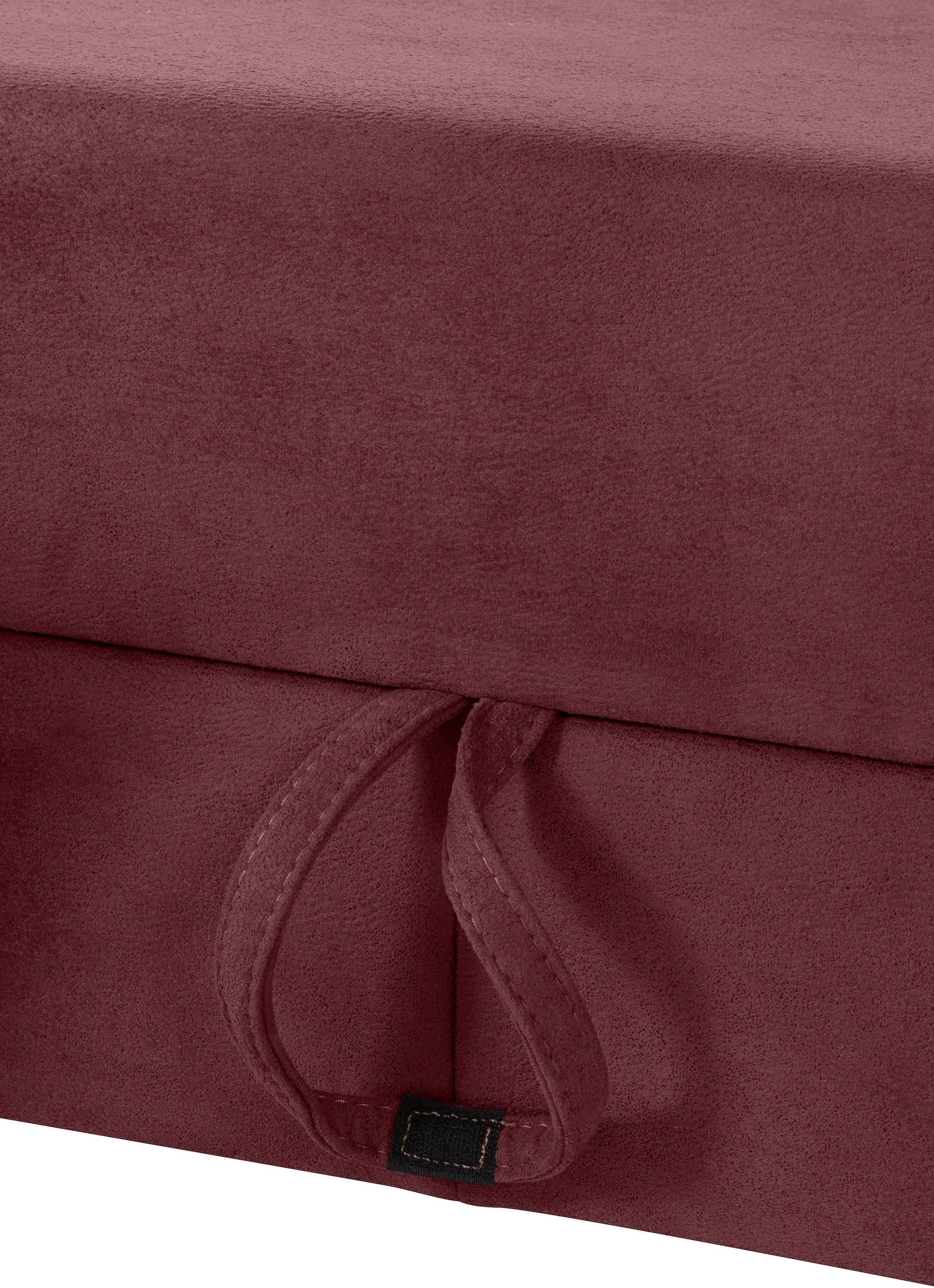 sit&more Ecksofa »Darwin L-Form«, inklusive Federkern, wahlweise mit Kopfteilverstellung, Bettfunktion