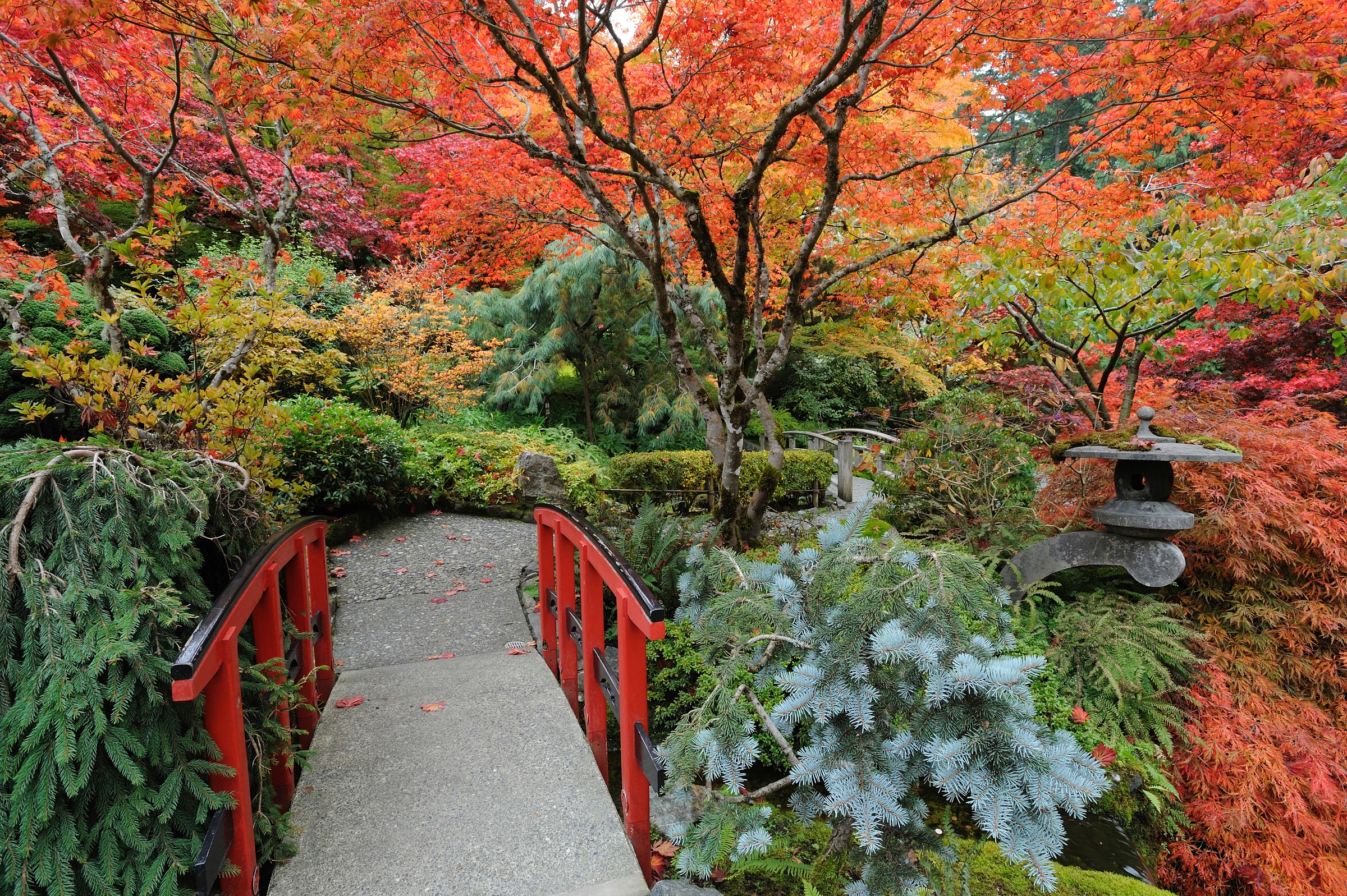 Papermoon Fototapete »JAPANISCHER GARTEN HERBST« günstig online kaufen