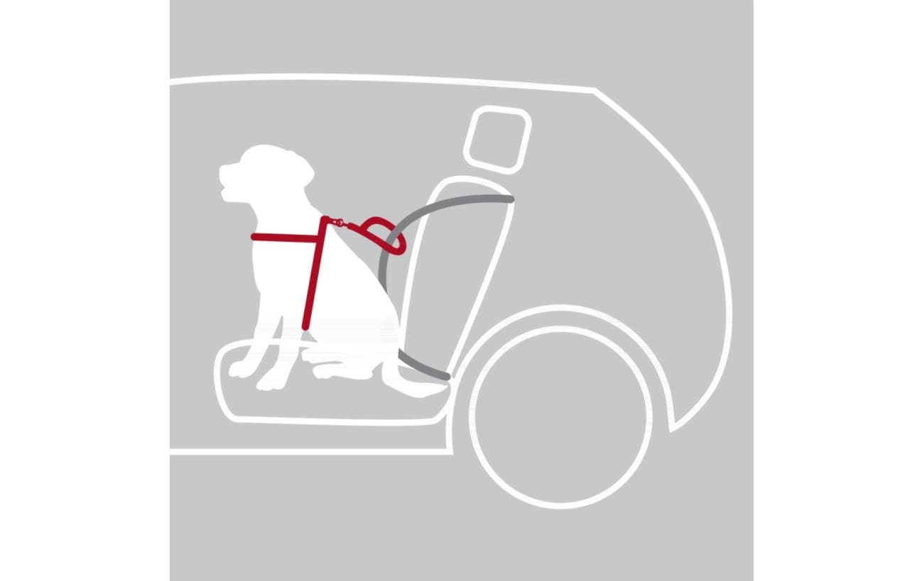 TRIXIE Hunde-Geschirr »Auto-Geschirr Dog Protect« Nylon