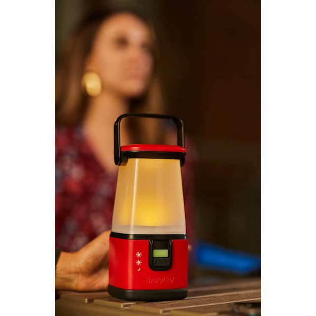 Energizer Laterne »Camping Light«, LED Camping Lampe, bis zu 650 Std. Licht  online kaufen