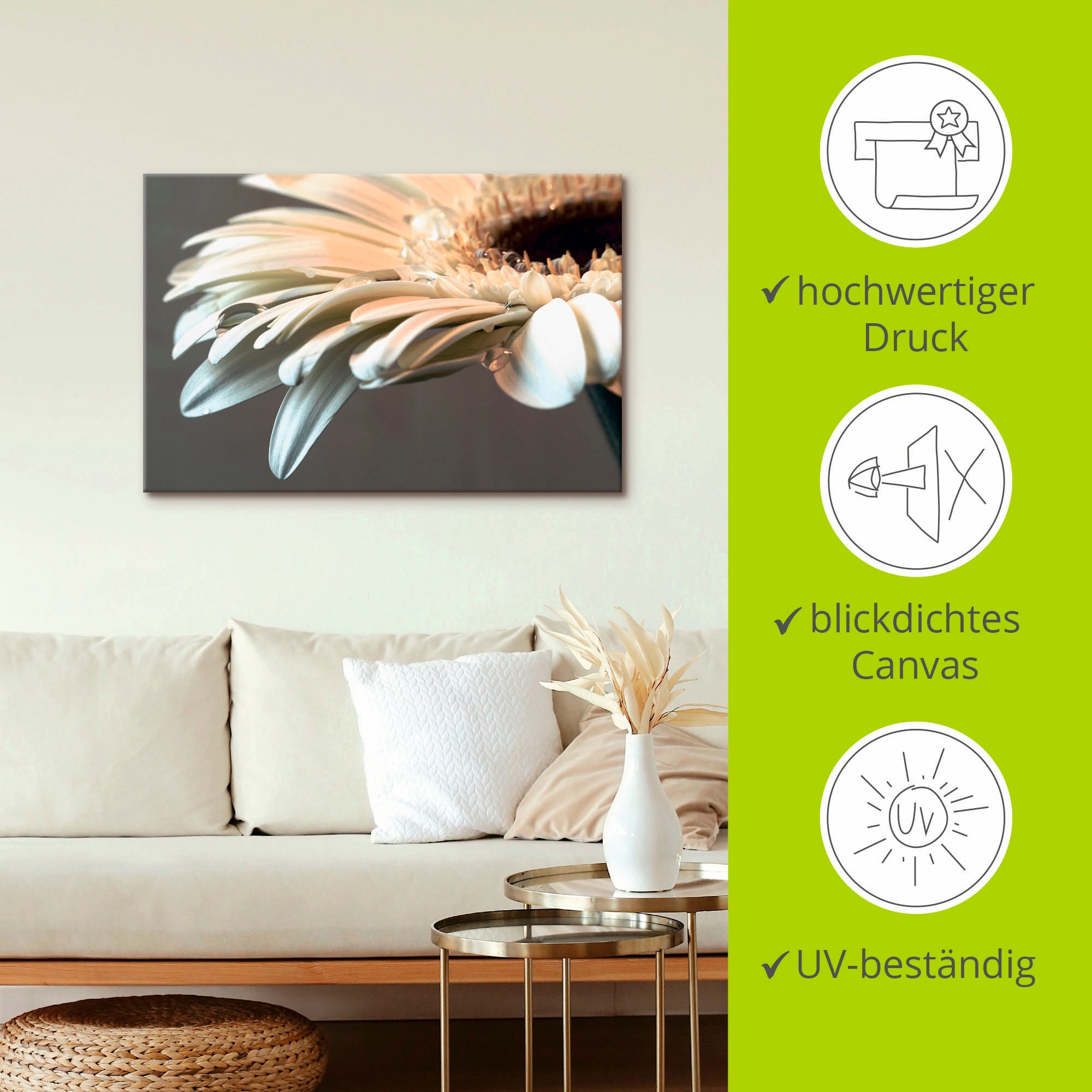 Artland Wandbild »Blüte einer Gerbera«, Blumen, (1 St.), als Leinwandbild, Poster, Wandaufkleber in verschied. Größen