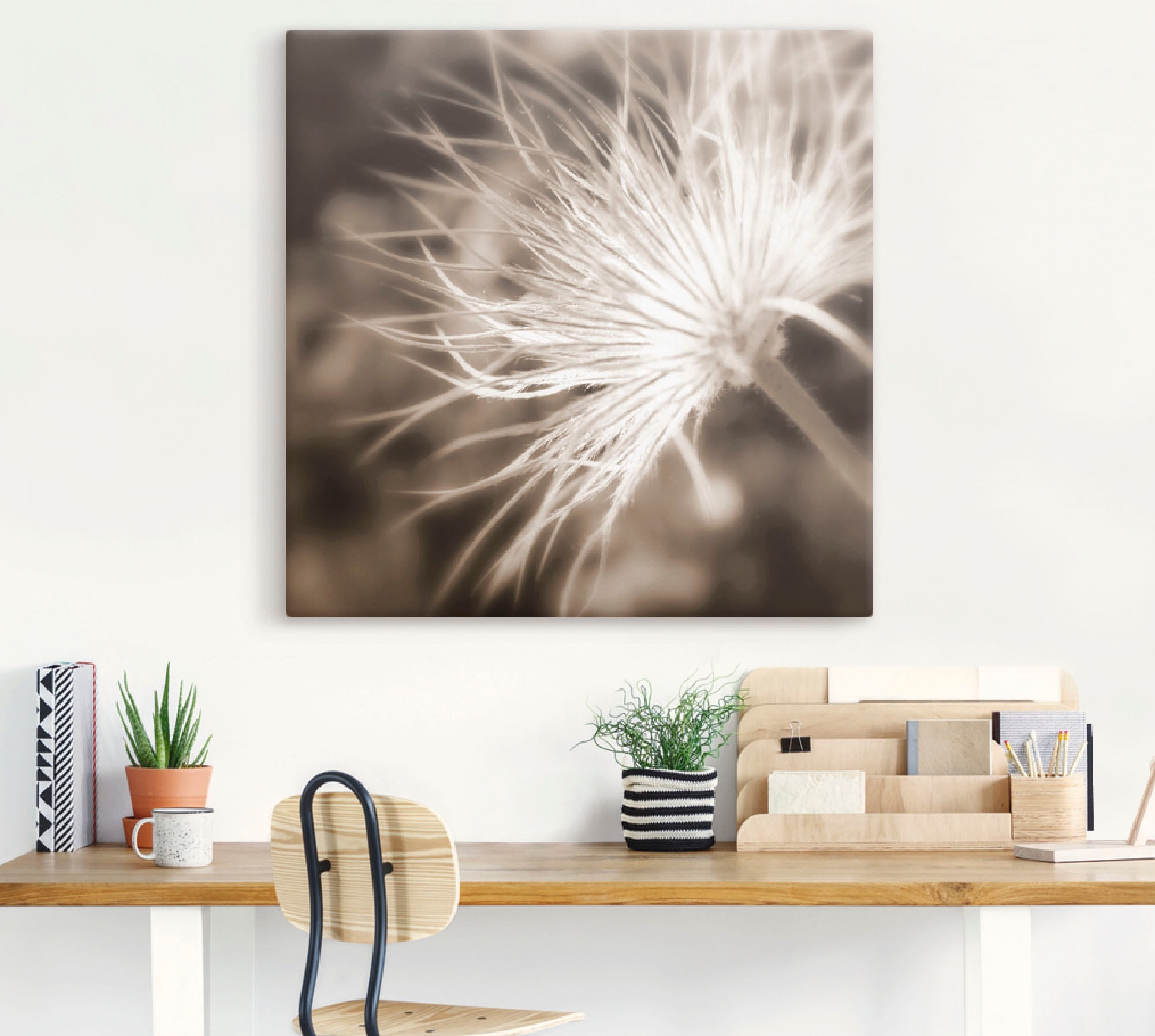 Artland Wandbild »leicht wie eine Feder«, Blumen, (1 St.), als Leinwandbild günstig online kaufen