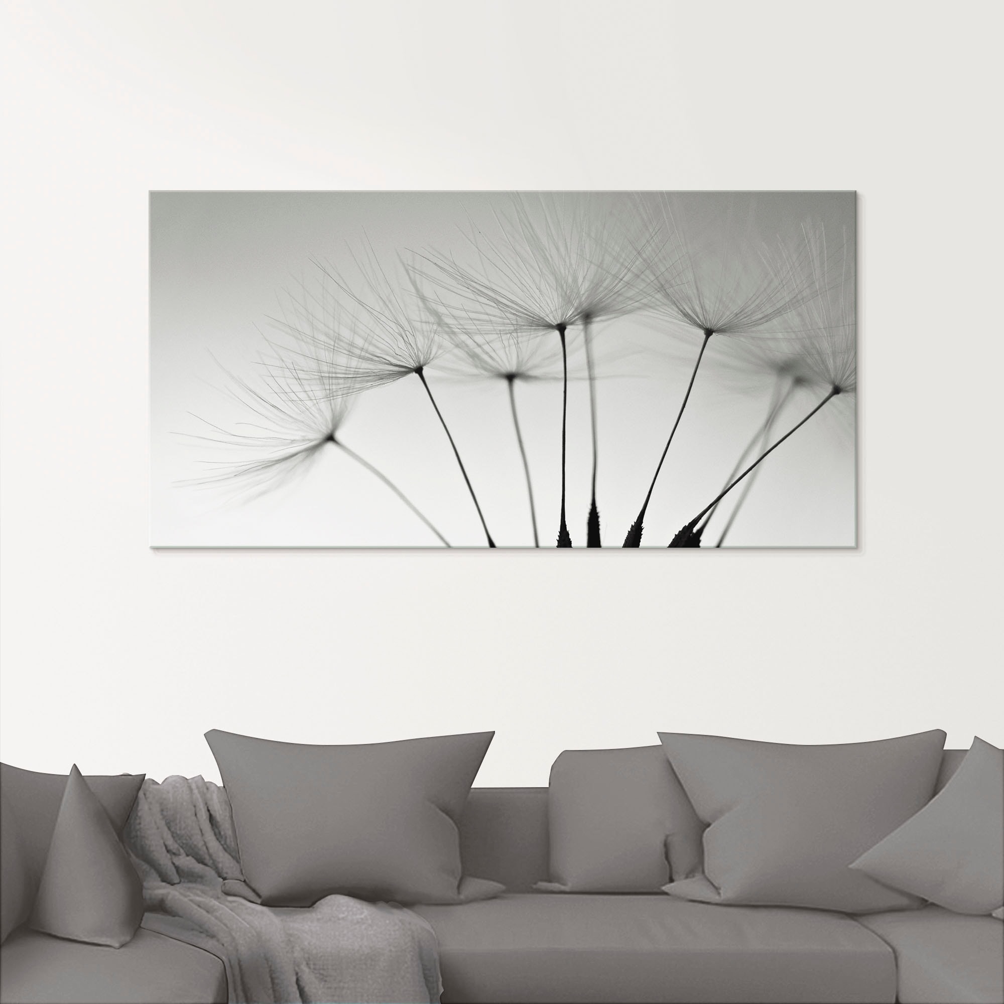 Artland Glasbild »Pusteblumen-Samen I« 1 Stk. tlg. in verschiedenen Größen günstig online kaufen