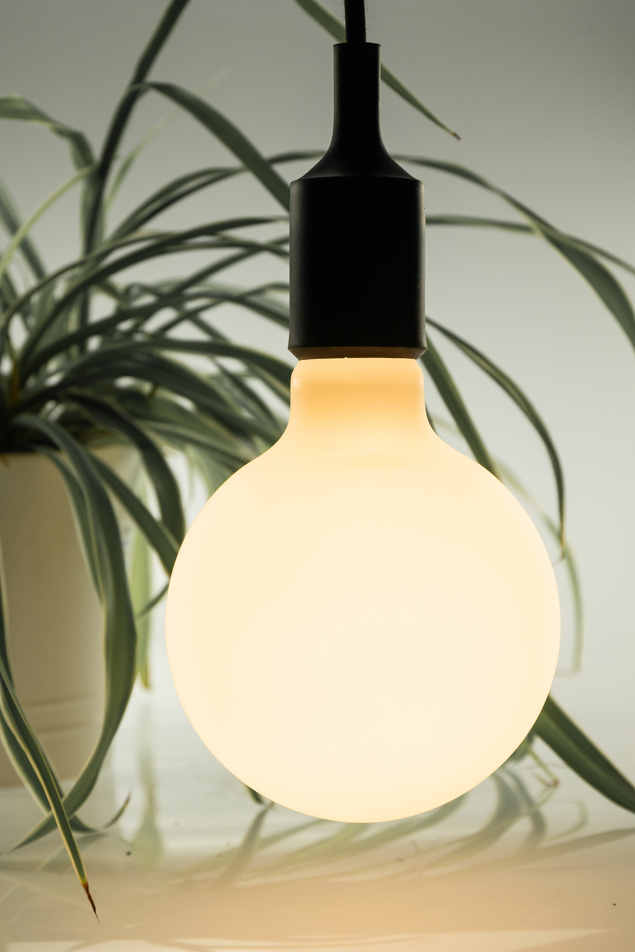 SEGULA LED-Leuchtmittel »LED Globe 125 Ambient matt«, E27, Warmweiß, dimmbar, E27, Globe 125, matt, Ambient Dimming
