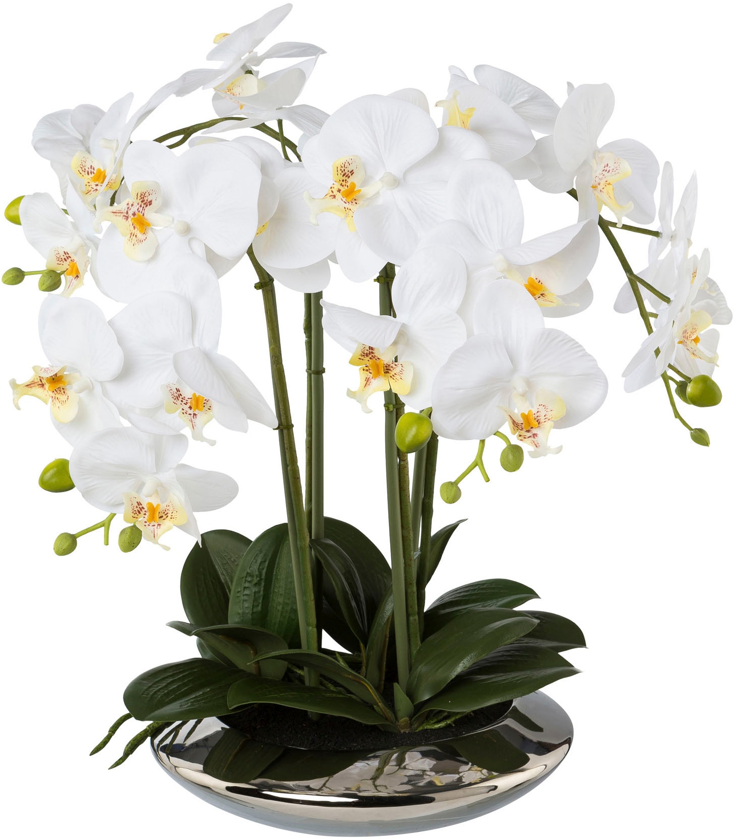 Creativ green Kunstorchidee »Deko-Orchidee Phalaenopsis in Keramikschale« günstig online kaufen