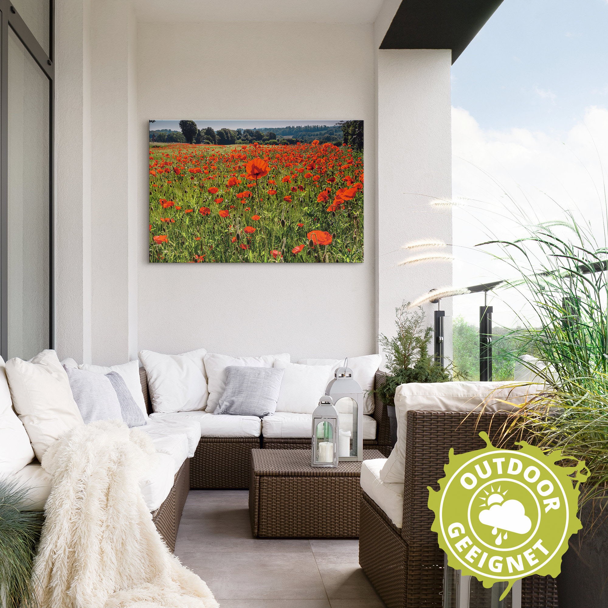Artland Alu-Dibond-Druck »Mohnblumenwiese II«, Blumenwiese, (1 St.), für Innen- und Außenbereich geeignet, Outdoorbild