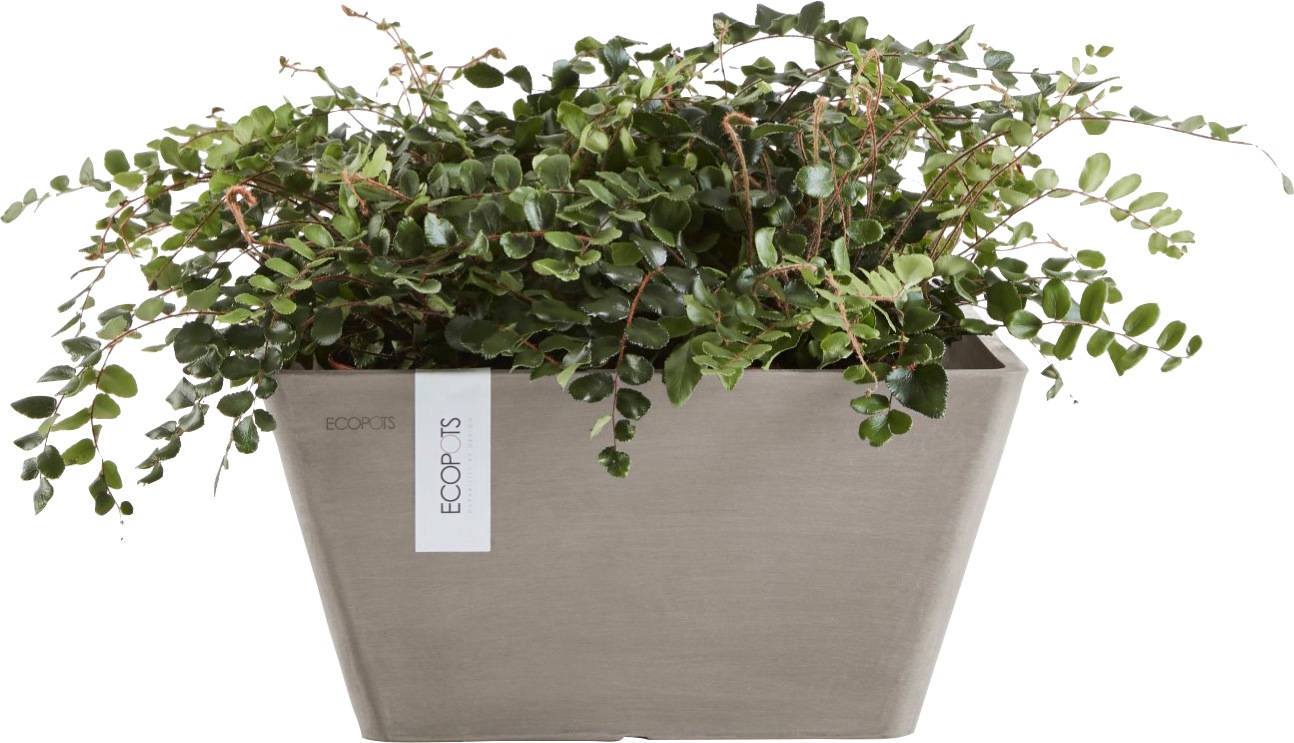 ECOPOTS Blumentopf »BERLIN Taupe«, BxTxH: 25x25x12,8 cm