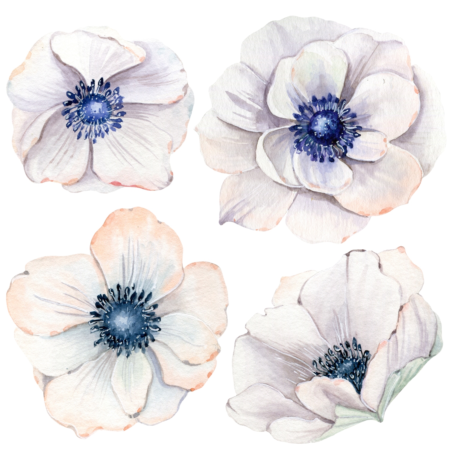queence Wandtattoo »Mareike« Wandbild, Sticker, Blume, Blüte, selbstklebend günstig online kaufen
