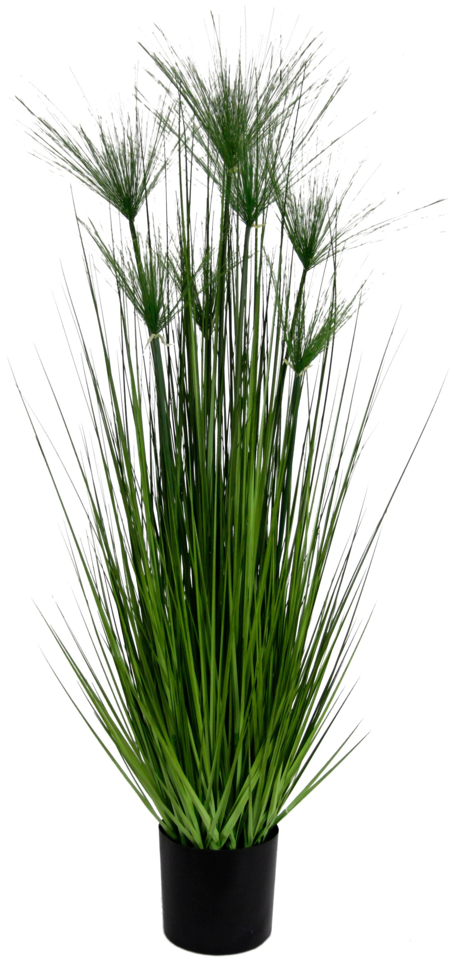 I.GE.A. Kunstpflanze »Zyperngras im Topf« günstig online kaufen