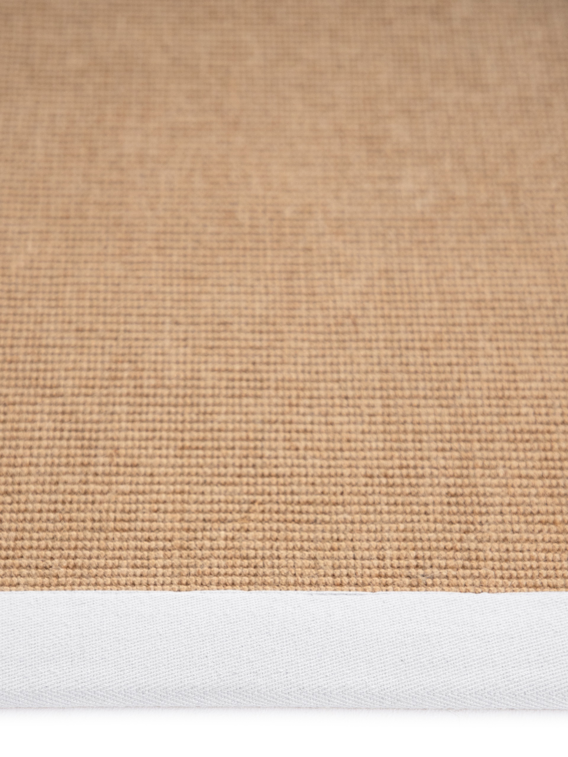 carpetfine Sisalteppich »Sisal«, rechteckig, 5 mm Höhe, mit farbiger Bordüre, Anti Rutsch Rückseite