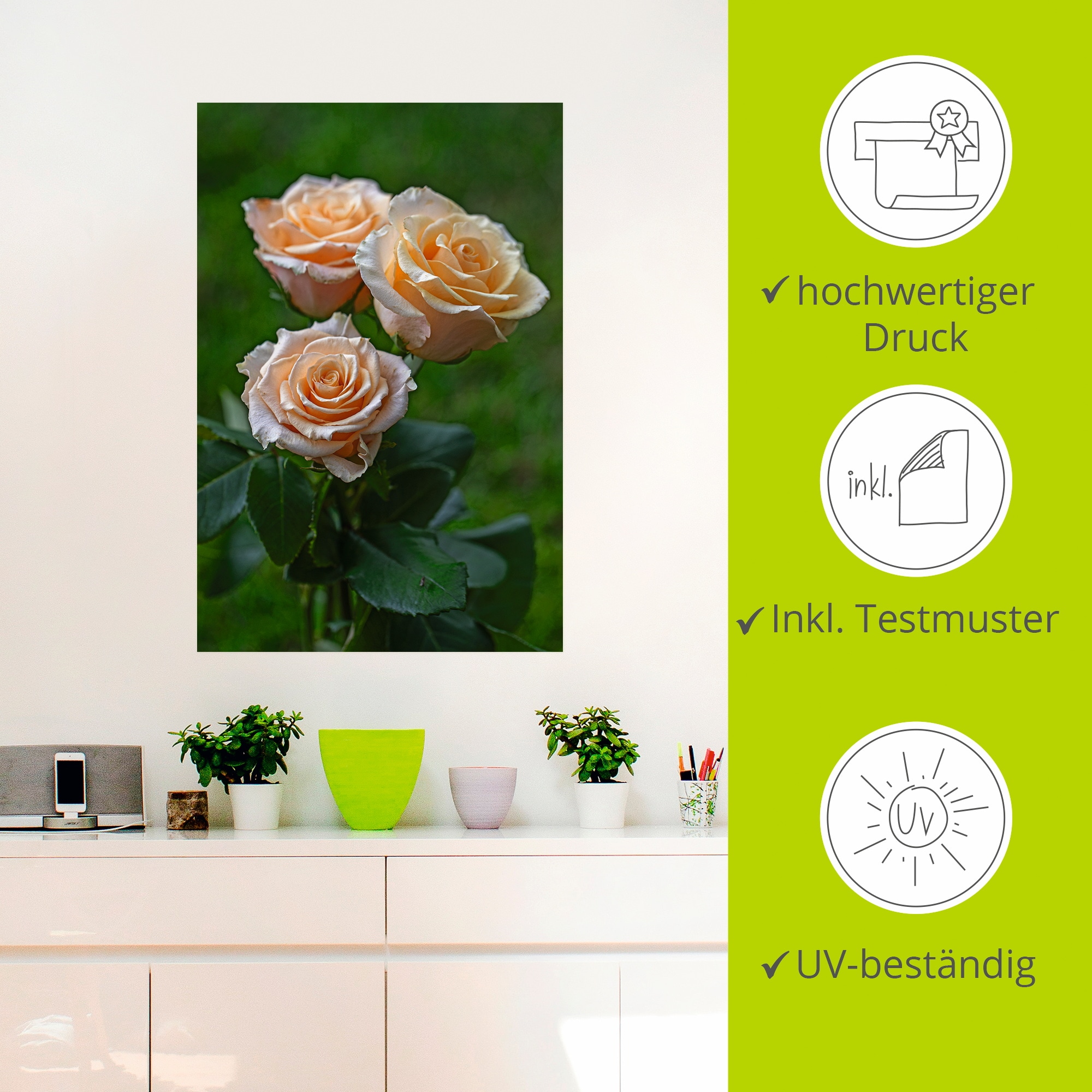 Artland Wandfolie »wunderschöne Rosen«, Blumenbilder, (1 St.), selbstklebend