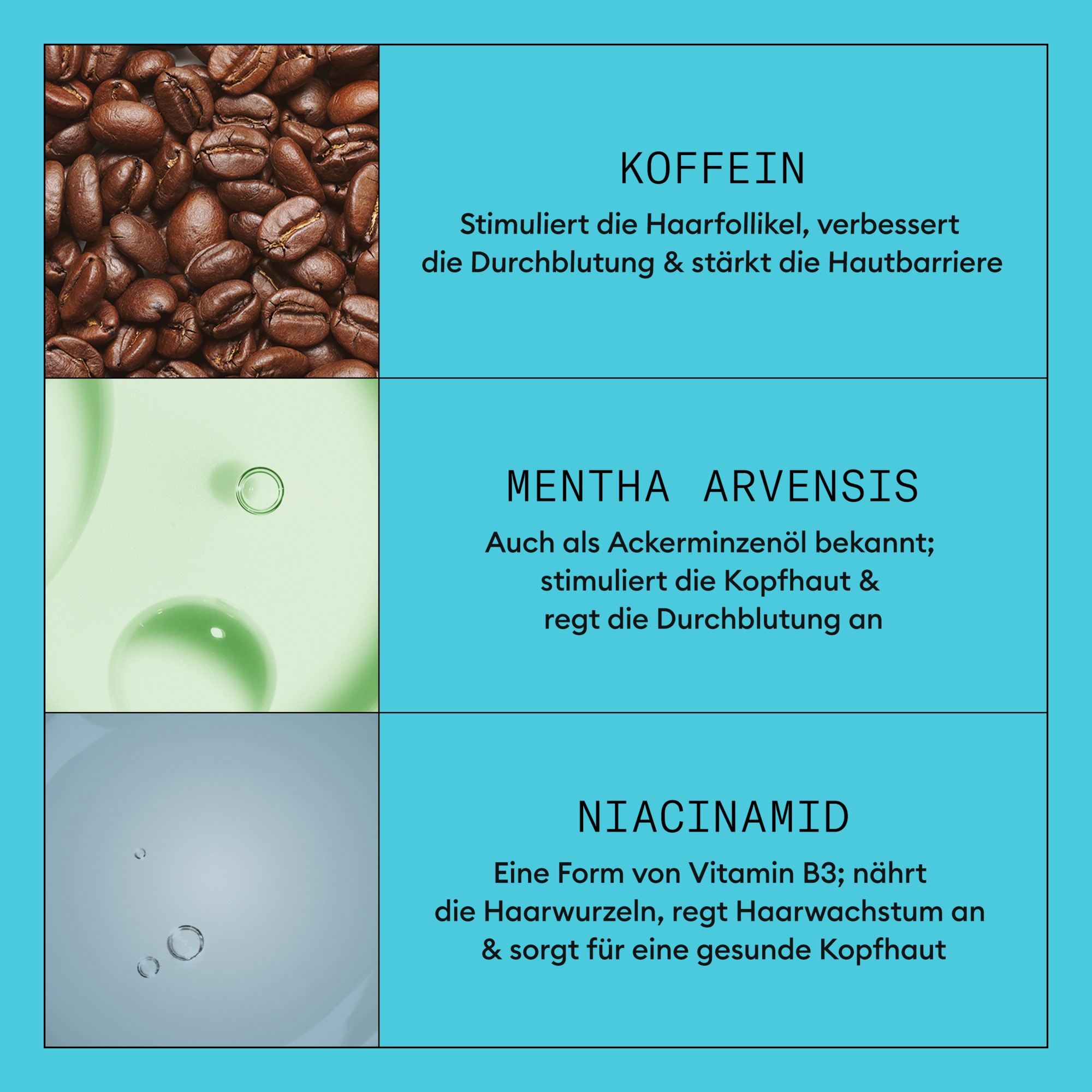 Nioxin Kopfhaut-Pflegelotion »System 3 Leave-on Treatment« mehr Volumen, schützt vor Haarbruch, speziell für coloriertes Haar