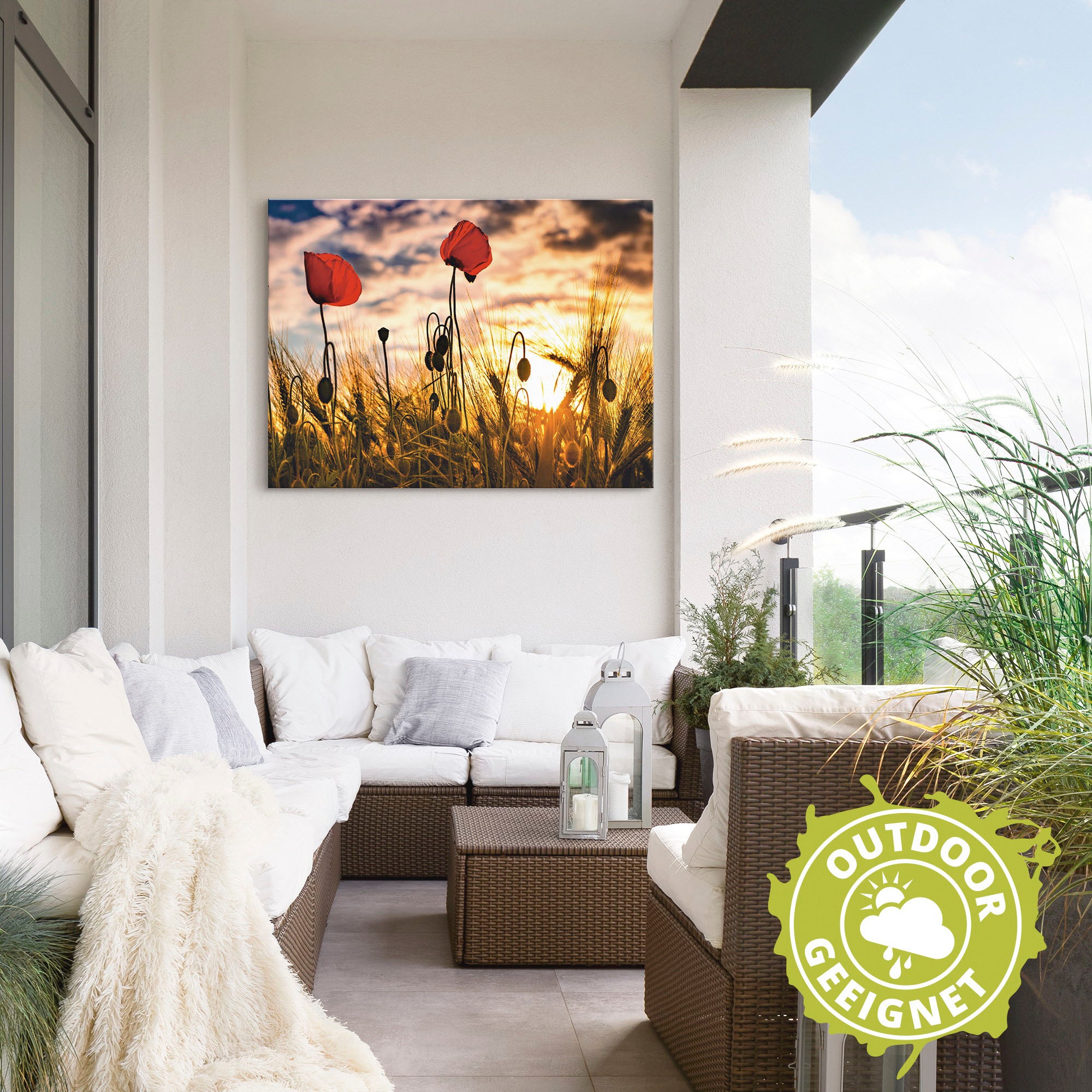 Artland Wandbild »Mohnblumen im Sonnenuntergang«, Blumen, (1 St.), als Alubild, Outdoorbild, Leinwandbild, Poster, Wandaufkleber