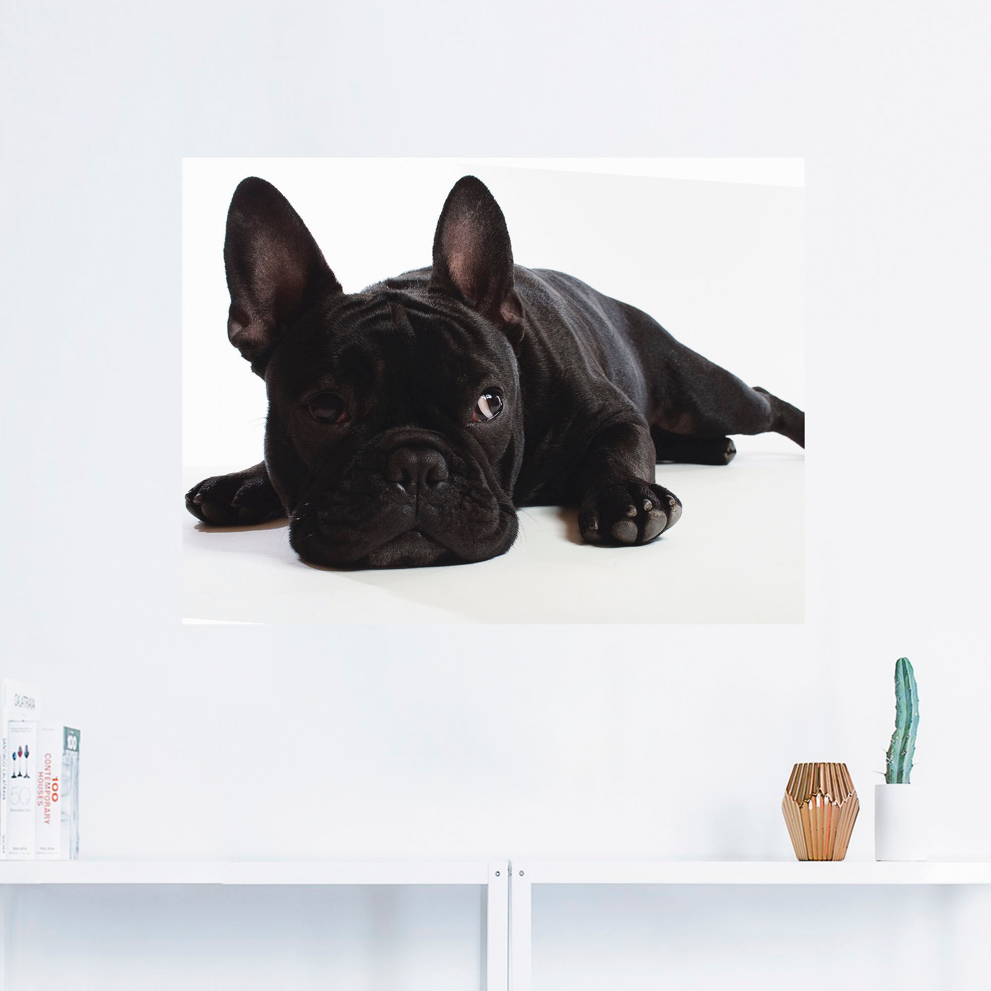 Artland Wandbild »Bulldogge«, Haustiere, (1 St.), als Alubild, Outdoorbild, günstig online kaufen