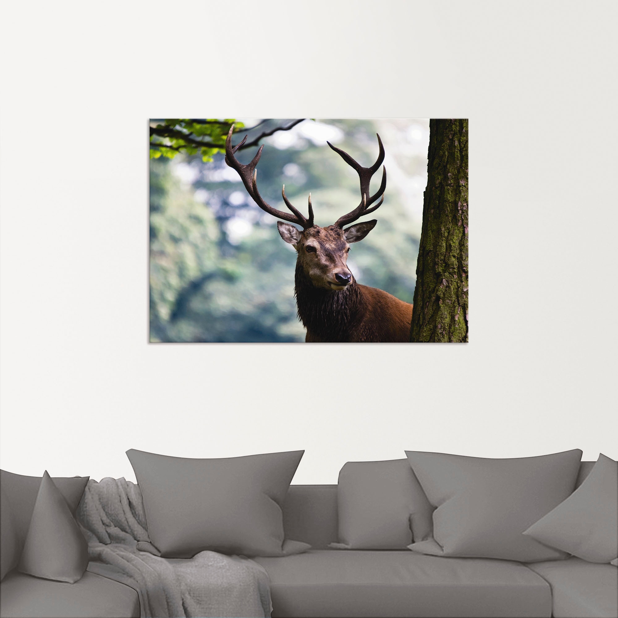 Artland Wandbild »Hirsch«, Wildtiere, (1 St.), als Alubild, Outdoorbild, Le günstig online kaufen