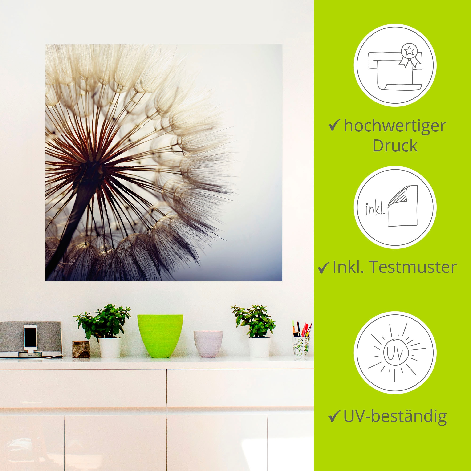 Artland Wandbild »Große Pusteblume«, Blumen, (1 St.), als Alubild, Outdoorbild, Leinwandbild, Poster, Wandaufkleber