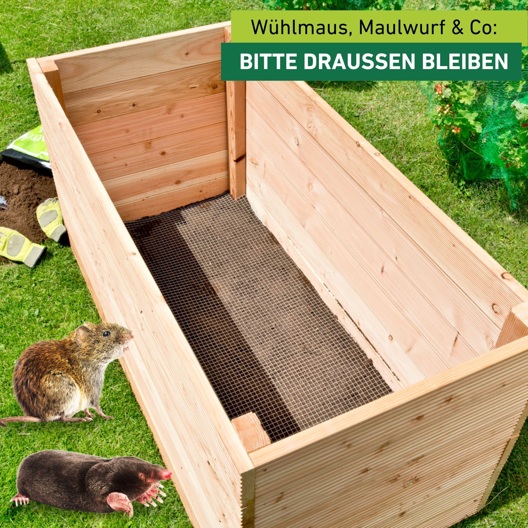 Windhager Mäusegitter »für Hochbeete, Wühlmausschutz aus 0,55 mm Stahldraht« zuverlässiger Schutz gegen Nager, Wühlmausgitter 2,1 x 1,1 m