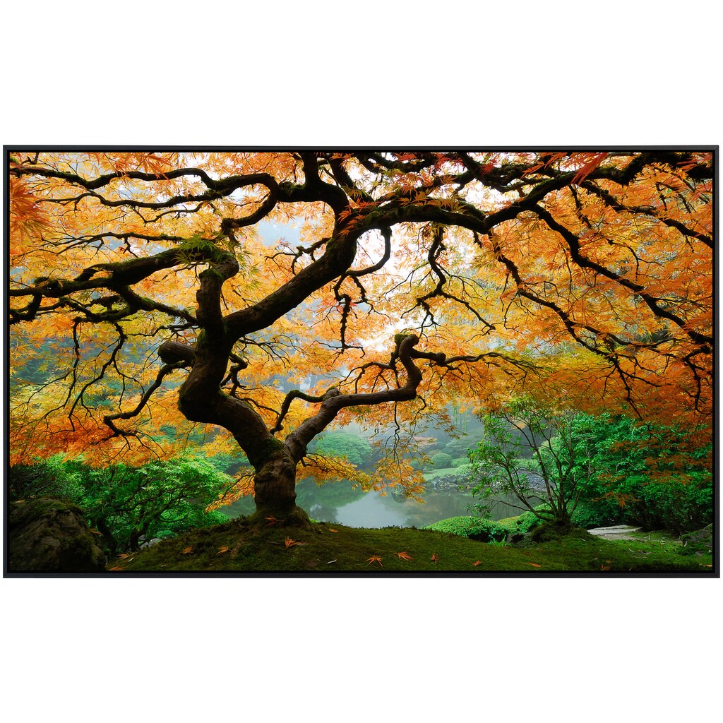 Papermoon Infrarotheizung »Herbst Ahornbaum«