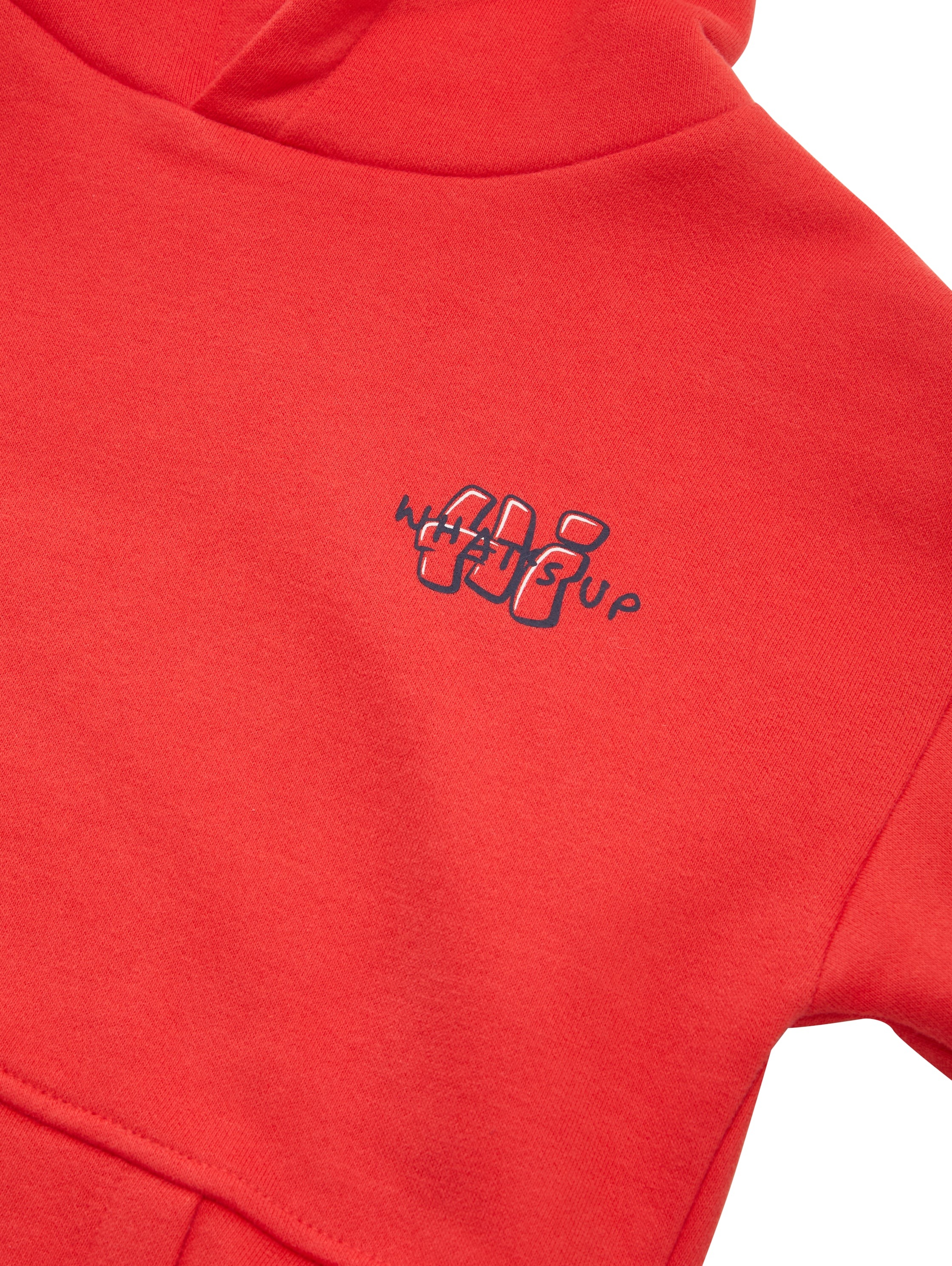 TOM TAILOR Hoodie , mit Elch-Frontprint und Rückenprint, für Kids
