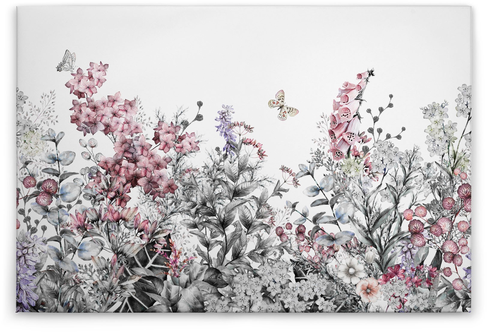 Bricoflor Leinwand Bild Mit Frühlingsblumen Und Schmetterling Blumenbild In günstig online kaufen