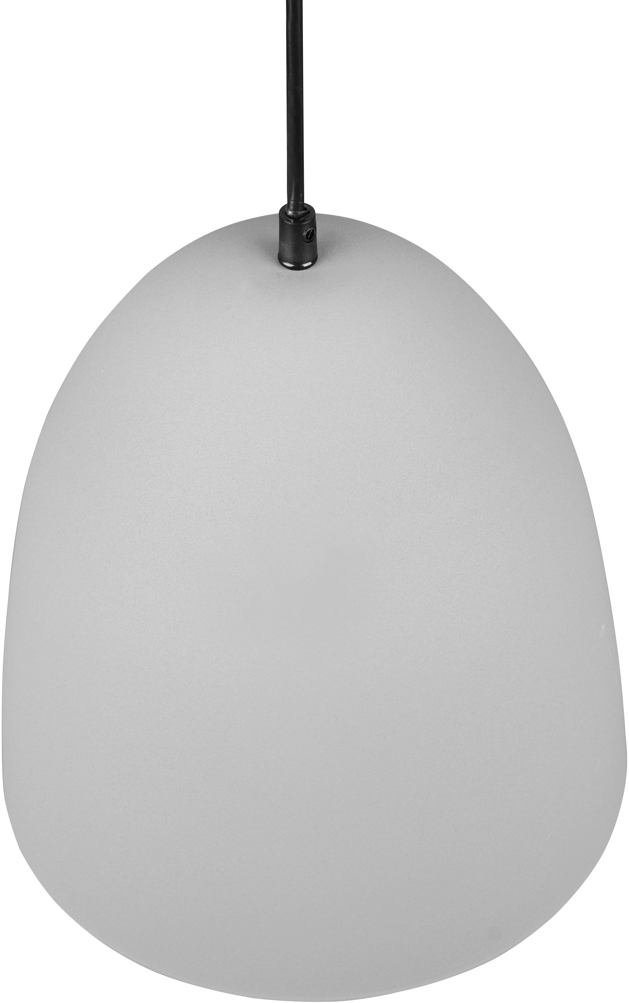 REALITY Leuchten Pendelleuchte »Tilda«, 1 flammig, Leuchtmittel E27 | ohne Leuchtmittel, elegante Hängelampe, max 150cm höhenverstellbar, exkl 1xE27 max 40W