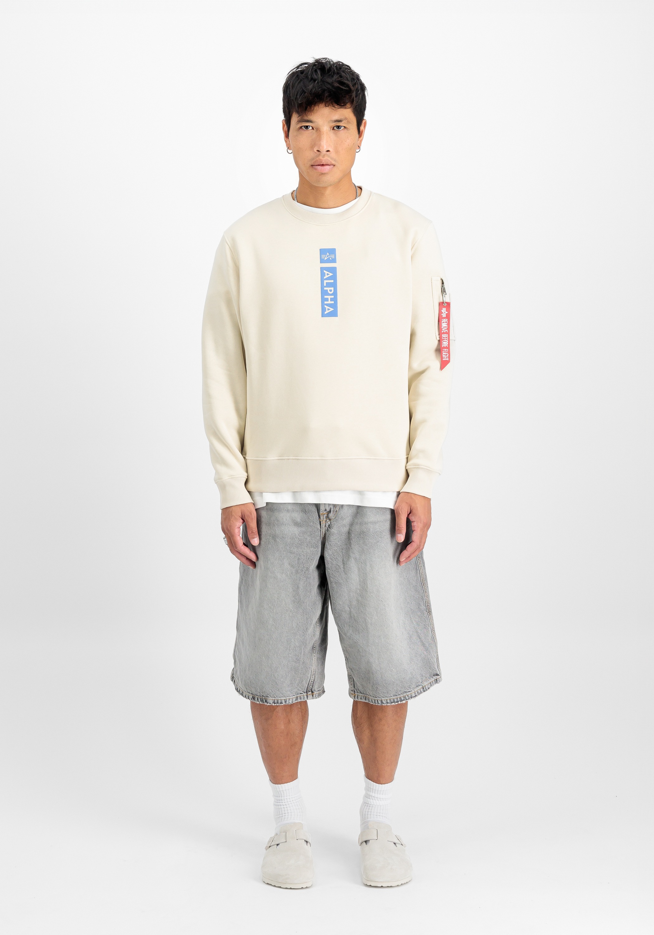 Alpha Industries Sweater »Alpha Industries Men - Sweatshirts Alpha Refl. Print Sweater«