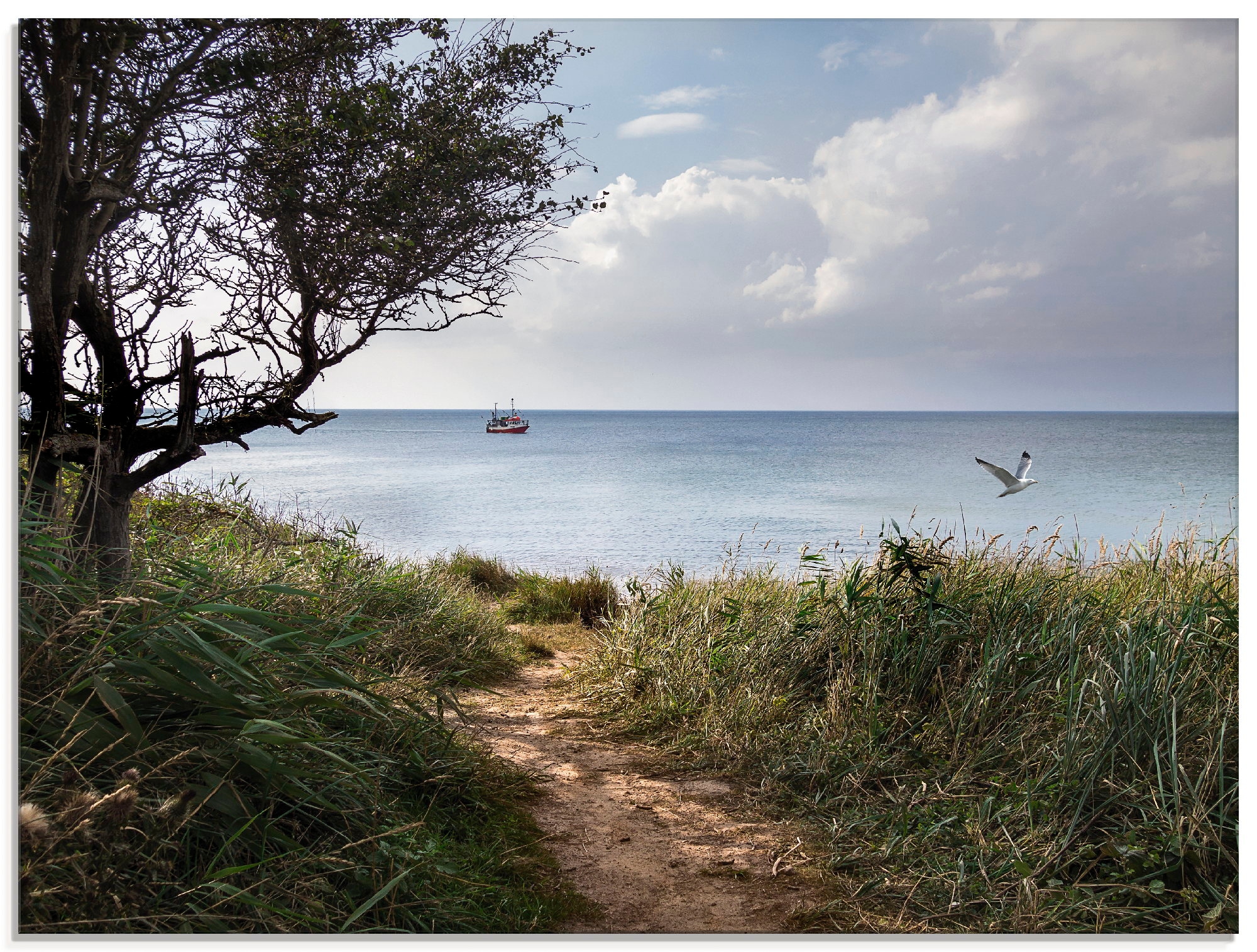 Artland Glasbild »Wege zum Meer....«, Gewässer, (1 St.), in verschiedenen G günstig online kaufen