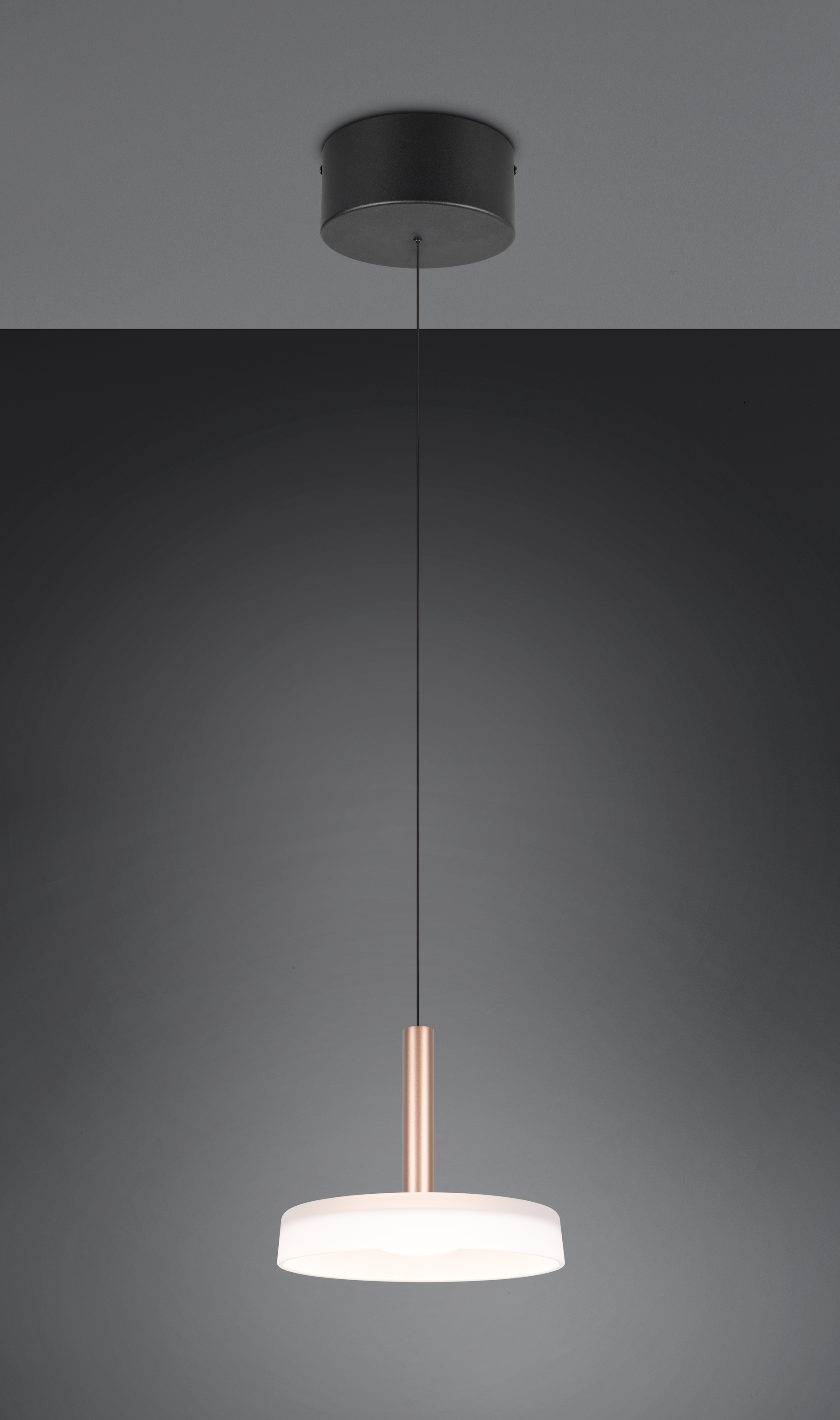 TRIO Leuchten LED Pendelleuchte »CELESTE dimmbare LED Hängelampe aus Metall und Glas, 10W 1100 Lumen«, 1 flammig, Leuchtmittel LED-Board | LED fest integriert, einfach höhenverstellbar von 50-200 cm, Ø 22cm, 3-Stufen Dimmfunktion