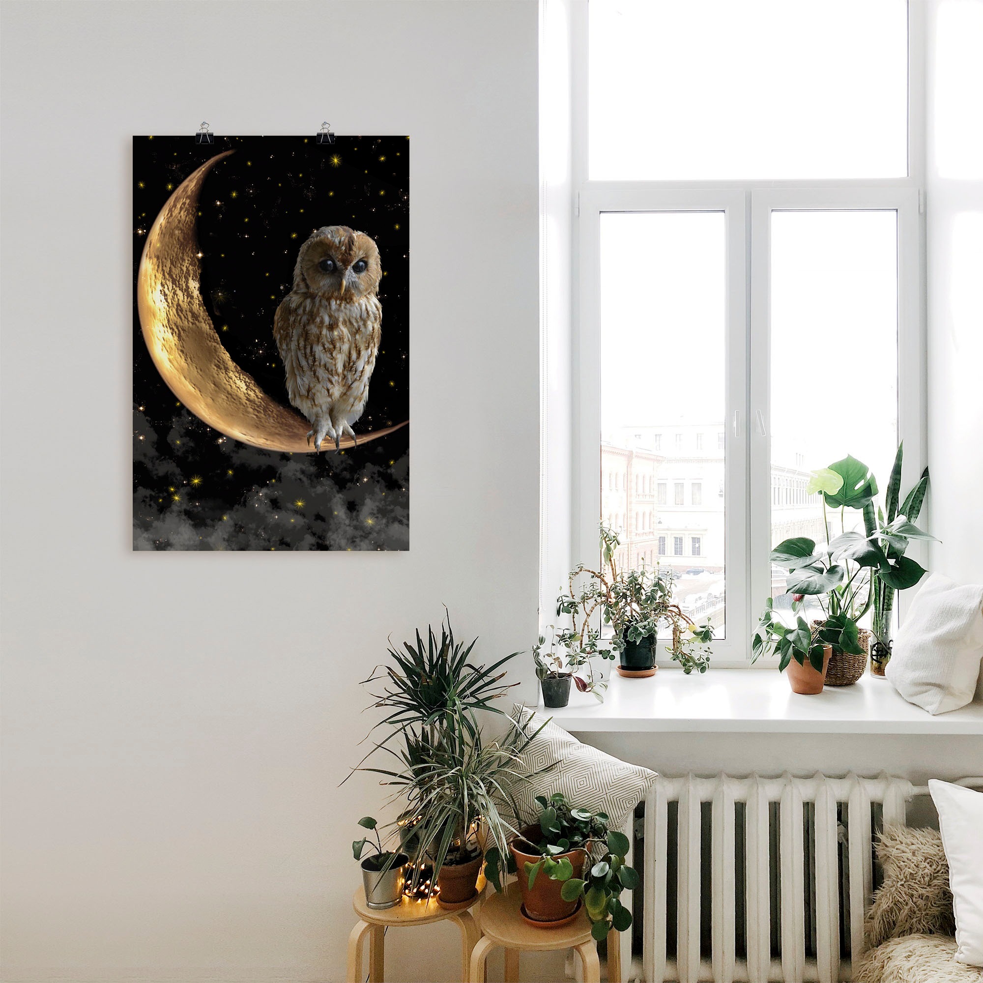 Artland Wandbild »Nachteule« Vögel 1 Stk. tlg. als Alubild, Outdoorbild, Leinwandbild, Poster in verschied. Größen